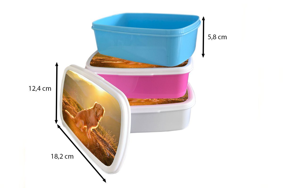 Brotbox glänzen Kunststoff Snackbox, (2-tlg), Golden Retriever, über Erwachsene, rosa Kunststoff, Mädchen, MuchoWow Sonnenstrahlen Kinder, Brotdose für einem Lunchbox