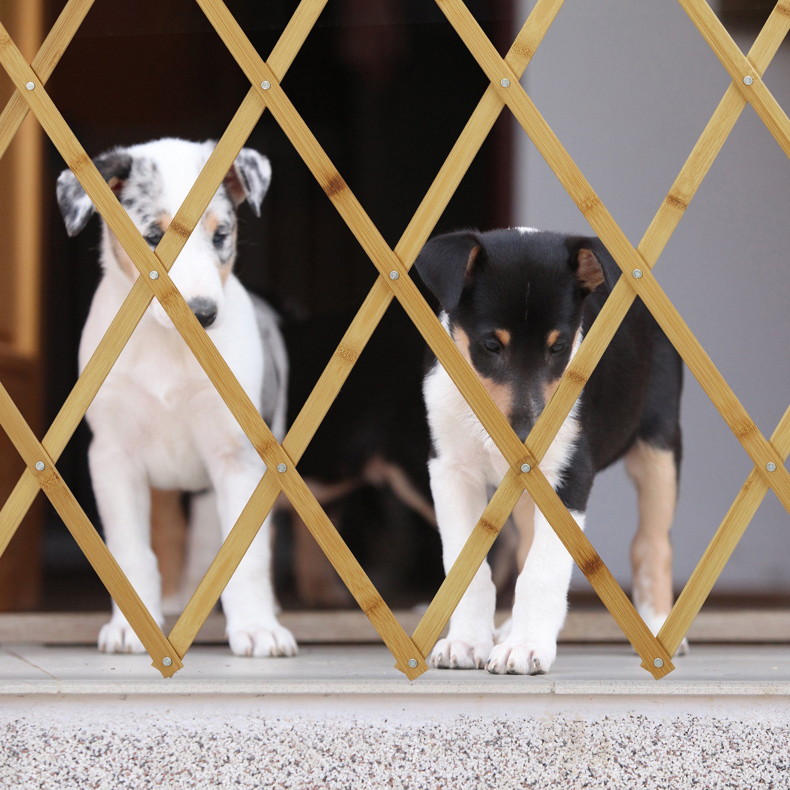 relaxdays Treppenschutzgitter Ausziehbares Hundeabsperrgitter Bambus (1 St) – Bild 3 von 5