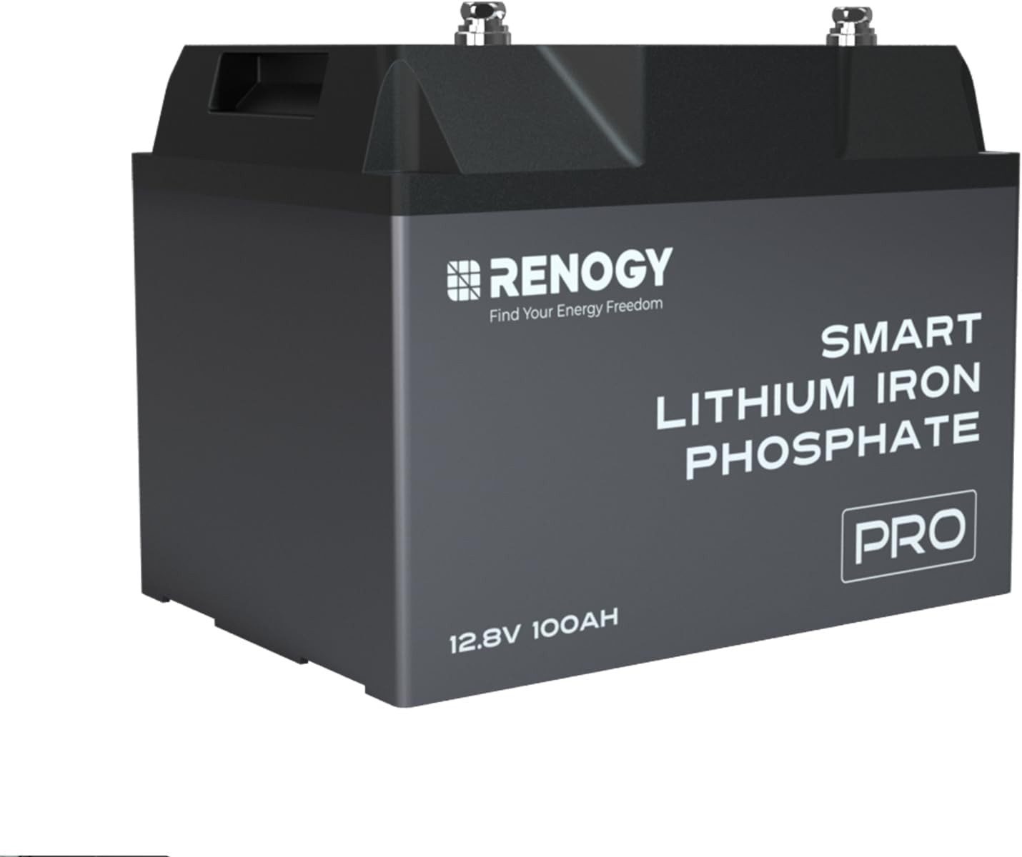 RENOGY Batterie, (0100 St)