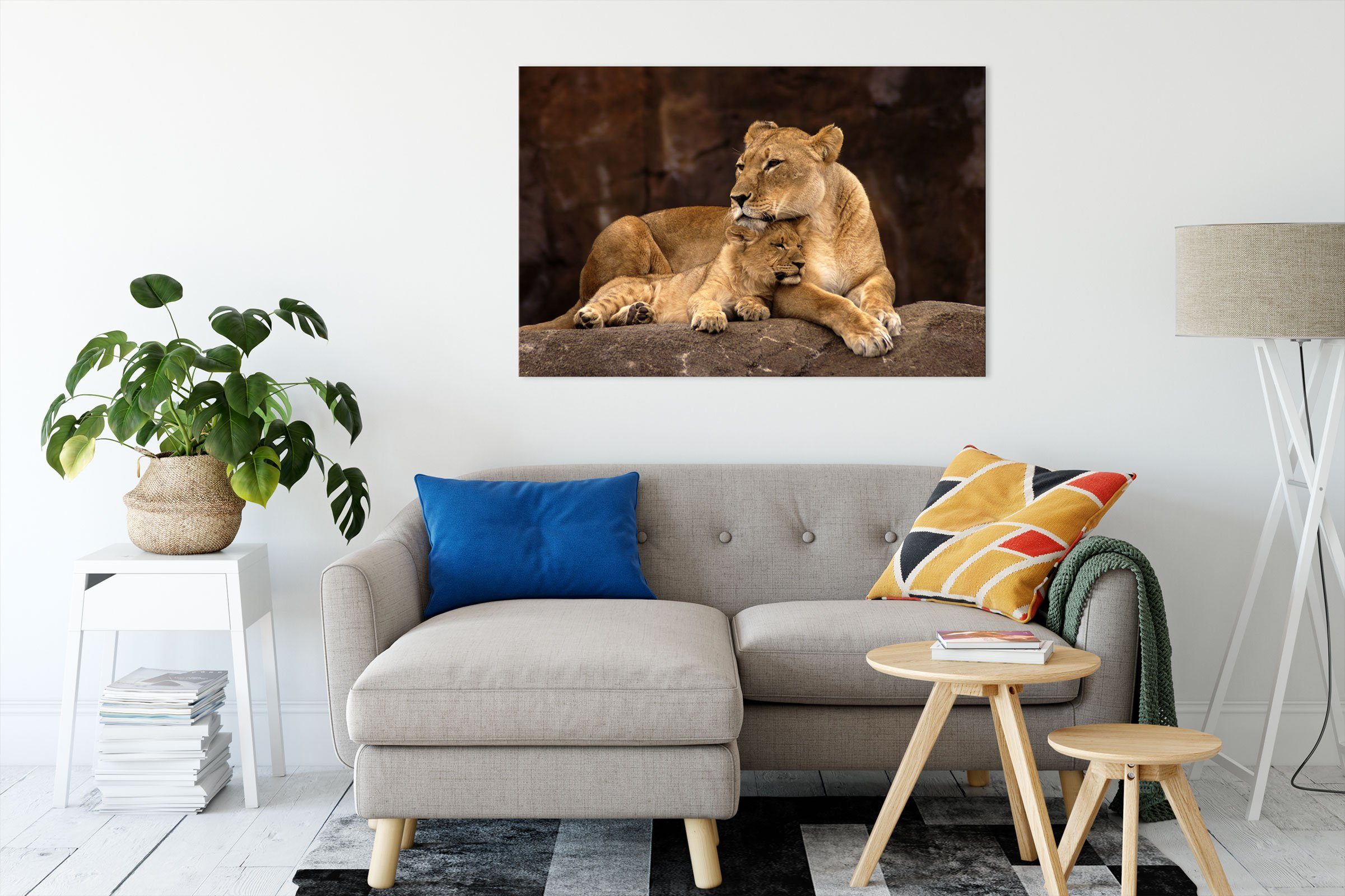 mit Löwenjungen, Pixxprint Leinwandbild fertig mit Löwe inkl. Löwenjungen (1 Zackenaufhänger bespannt, Löwe Leinwandbild St),