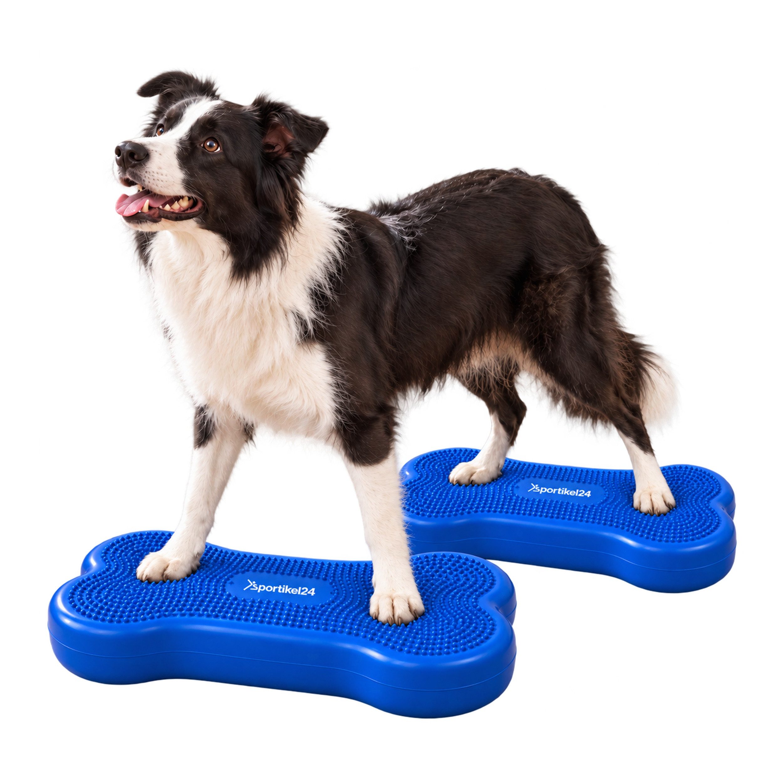 Superhund Balancetrainer 2er Balance-Knochen für Hunde – Medium – 2x Blau – ohne Pumpe