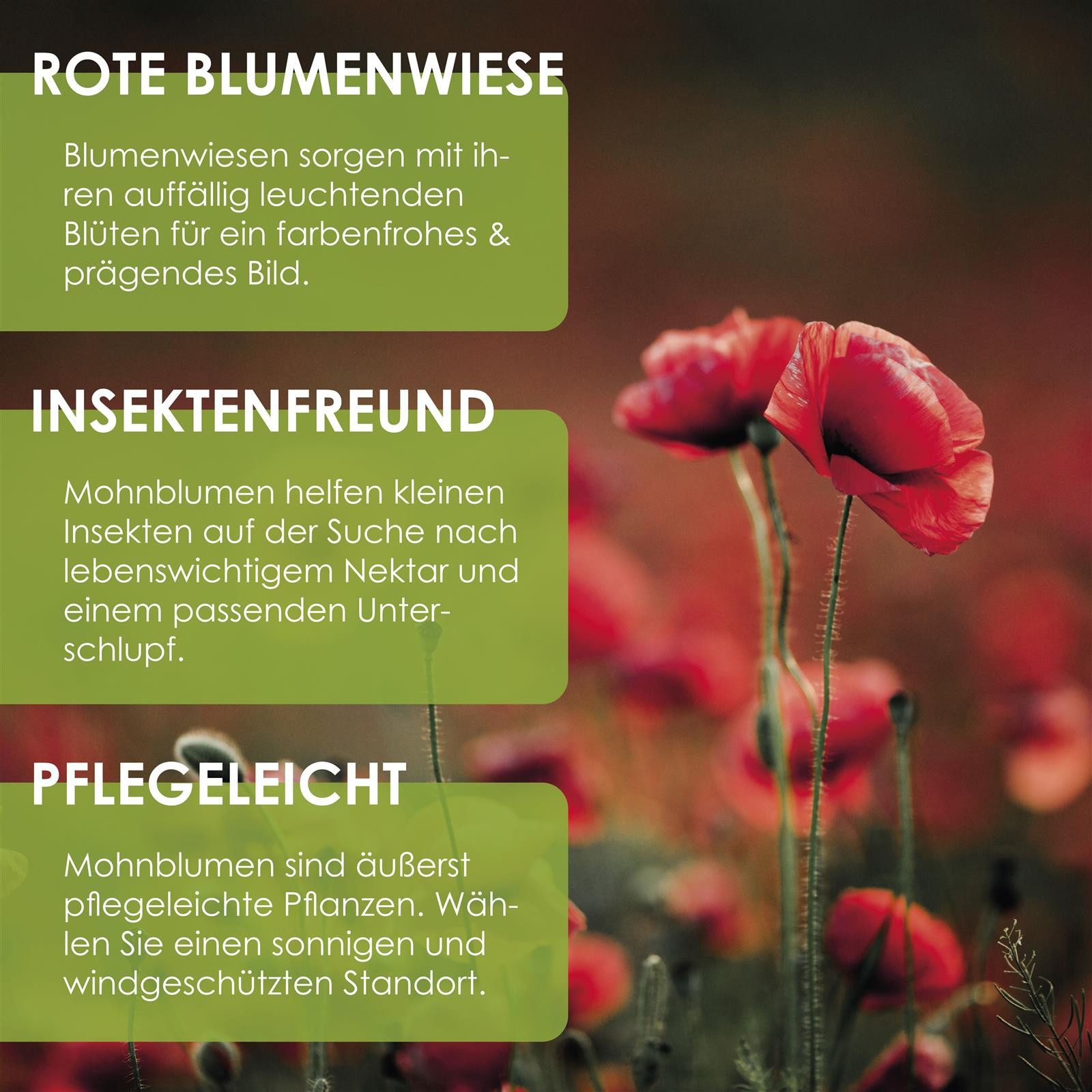 HappySeed Blumensamen Klatschmohn Samen - Papaver rhoeas (Rot), Klatschmohn günstig online kaufen