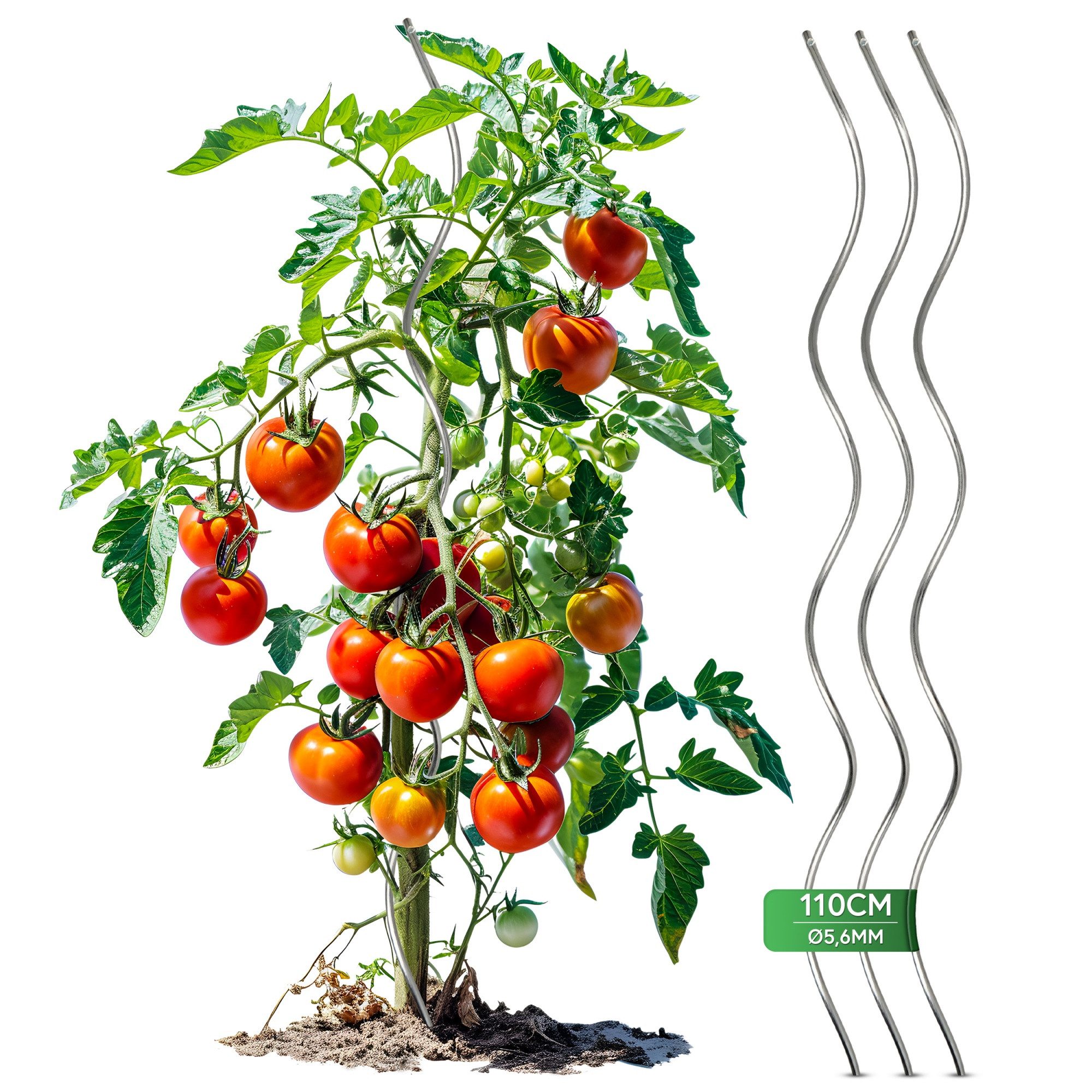 Gartenwelt Riegelsberger Tomatengewächshaus Tomatenspirale aus Stahl günstig online kaufen