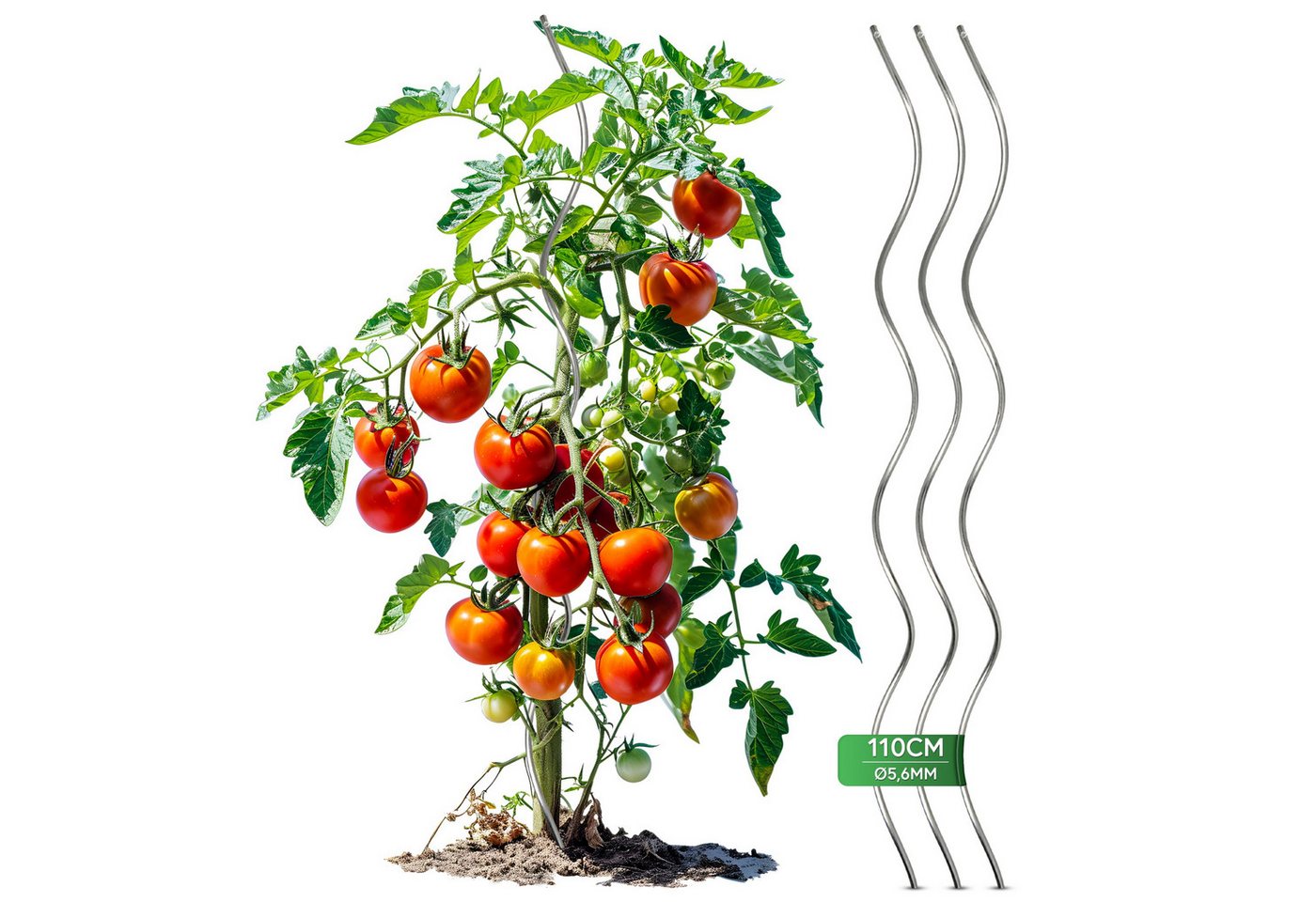 Thumbnail - Gartenwelt Riegelsberger Tomatengewächshaus Tomatenspirale aus Stahl Ø 5,6 mm Tomatenspiralstäbe Ranke Pflanzstab