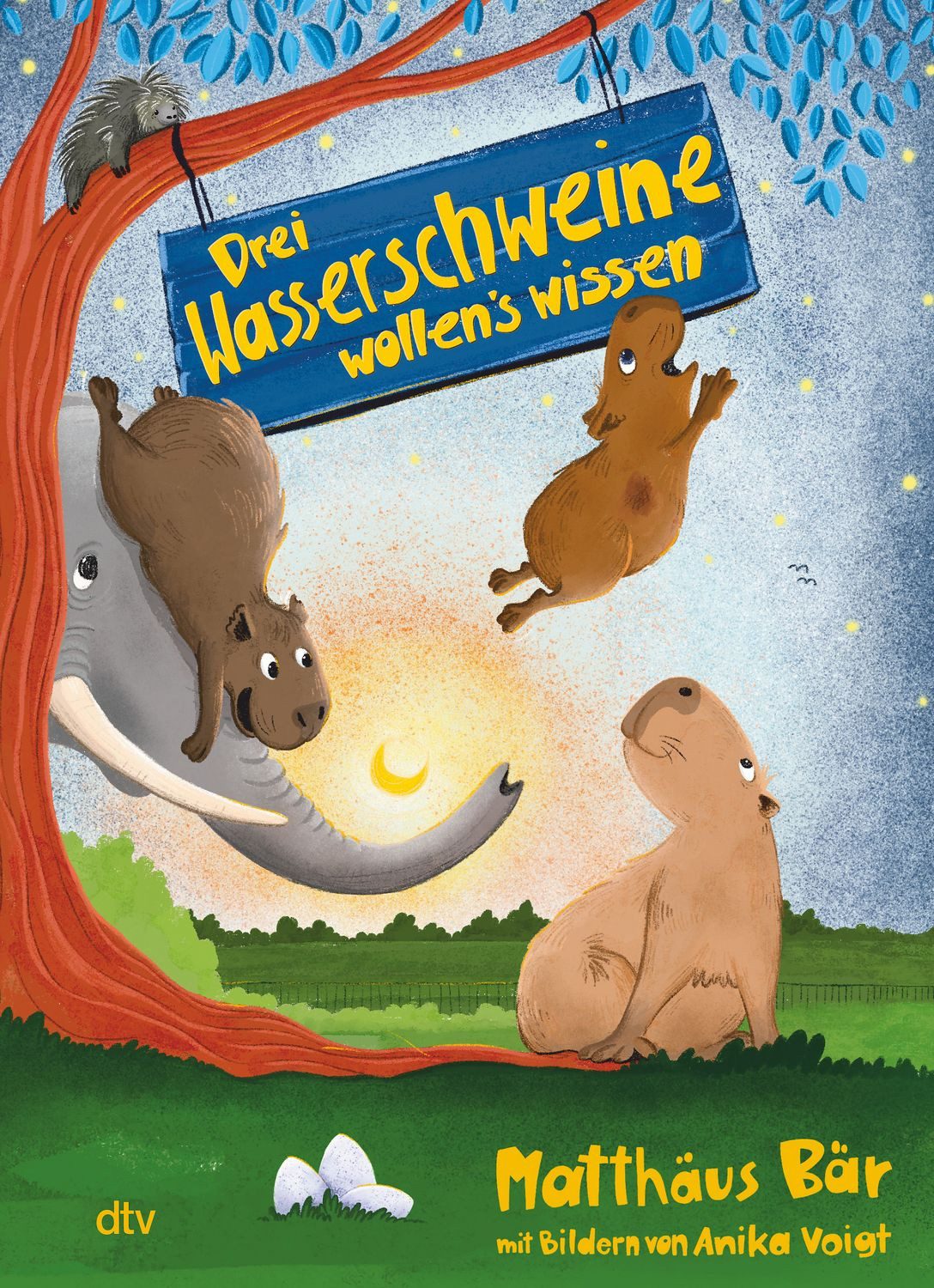 Drei Wasserschweine wollen's wissen / Matthäus Bär