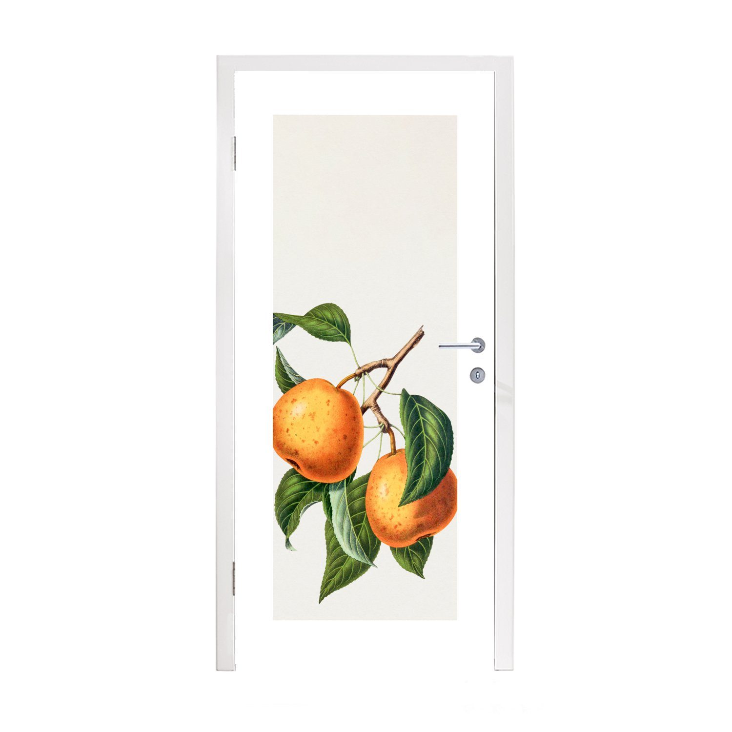 MuchoWow Türtapete St), 75x205 Matt, Blätter, - - Fototapete cm Früchte Orange Tür, (1 für bedruckt, Türaufkleber