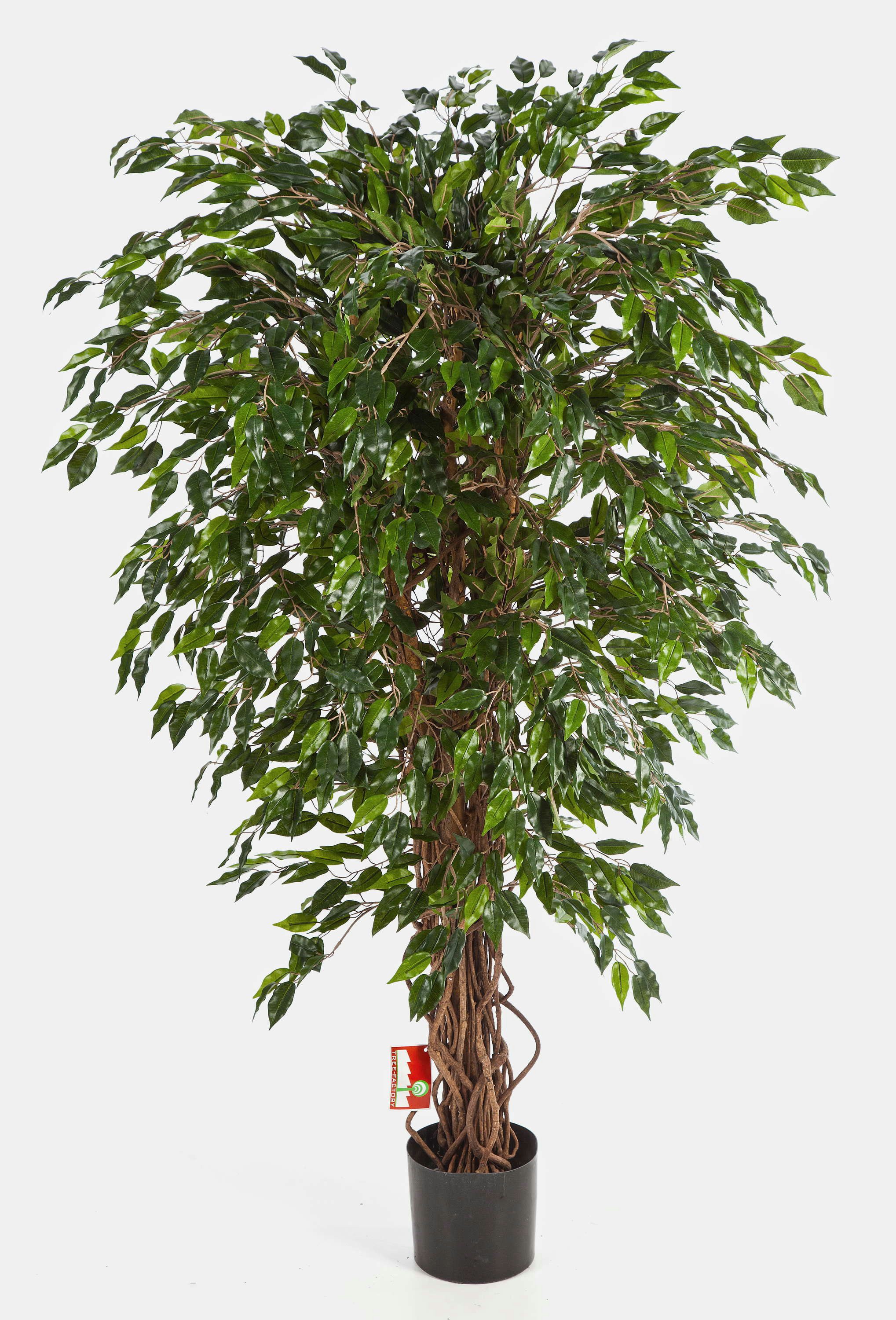 Kunstbaum Deko Ficus DAKU, 985 grüne Blätter, Naturstämme, 90cm - Kunst Pflanze Ficus (Ficus benjamini), artplants, Höhe 90.0 cm