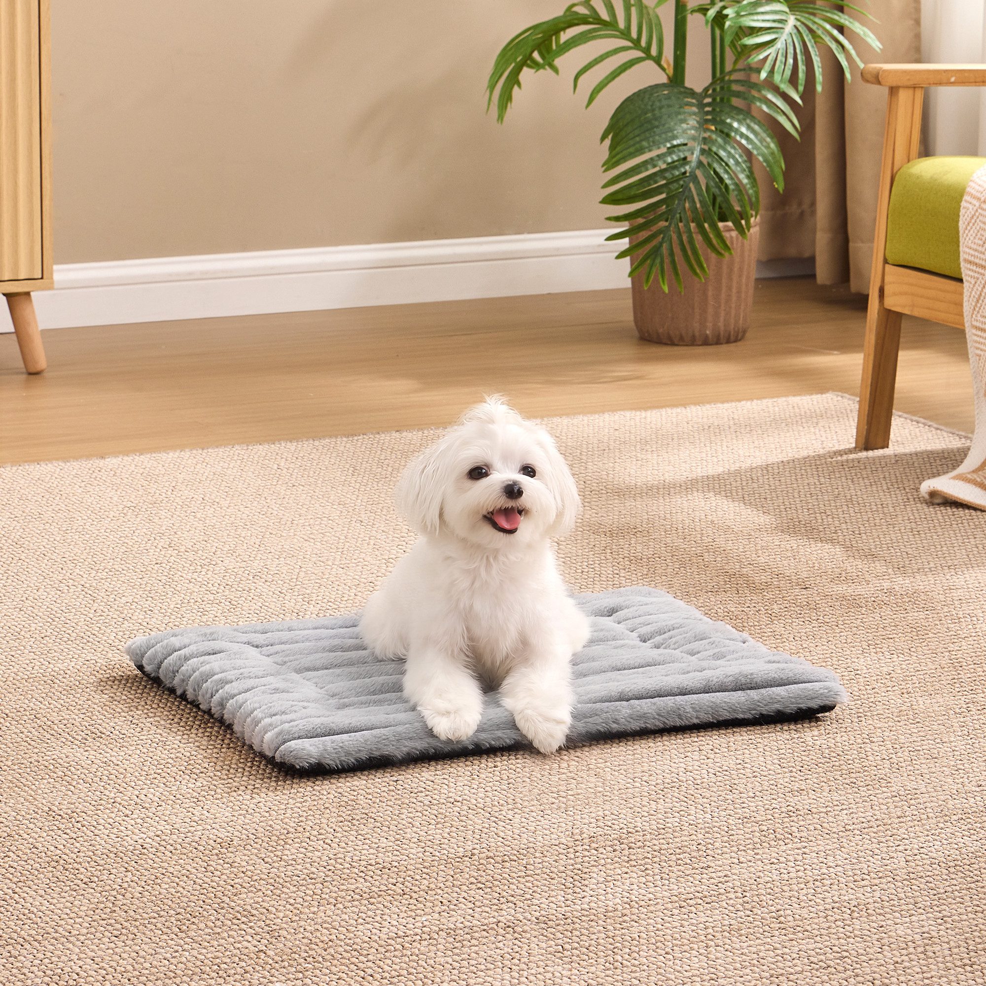 FEANDREA Tierdecke, beidseitig verwendbar, Hundesofa maschinenwaschbar, grau