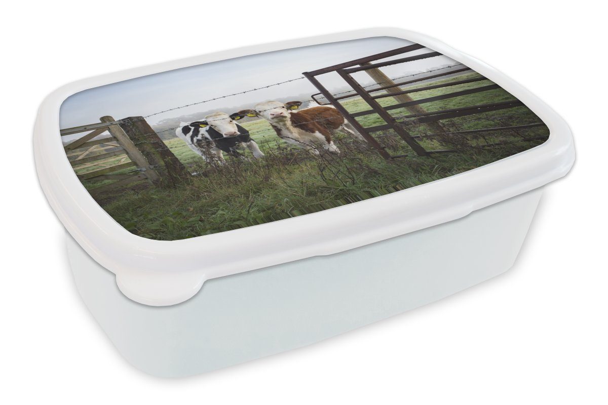 MuchoWow Lunchbox Kuh - Stacheldraht - Gras - Tiere, Kunststoff, (2-tlg), Brotbox für Kinder und Erwachsene, Brotdose, für Jungs und Mädchen weiß | Lunchboxen