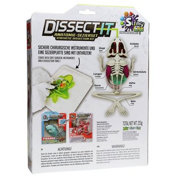 Lernspielzeug 2er Set Lernspielzeug dissect-it Kinder Anatomie Sezierset Frosch