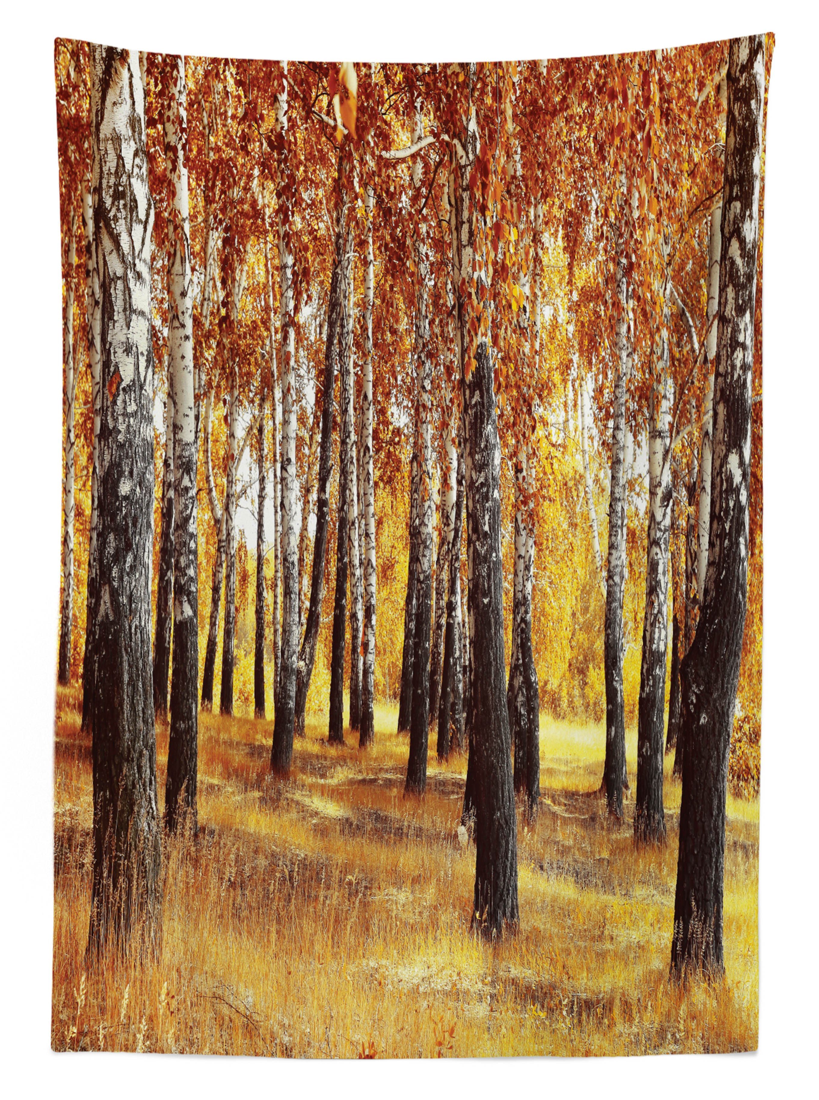 Herbst-Blätter-Entwurf Tischdecke Abakuhaus geeignet Für Wald Außen Klare den Farbfest Waschbar Bereich Farben,