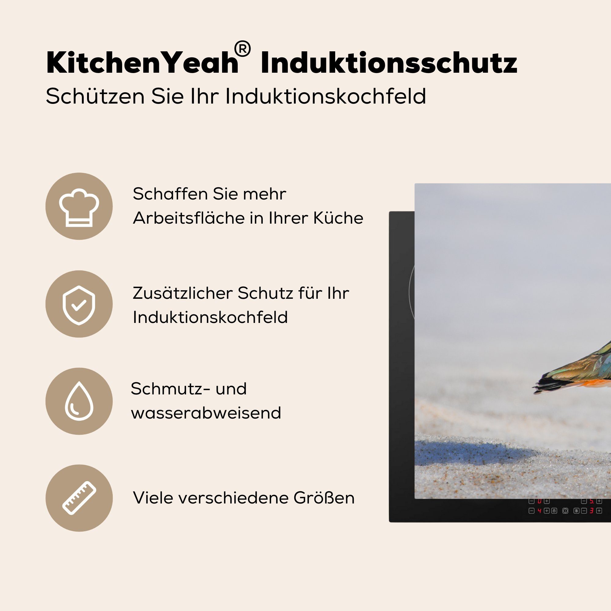 (1 - für Sand Tiere MuchoWow Arbeitsplatte küche - Kiebitz, 81x52 - Ceranfeldabdeckung, Vogel Herdblende-/Abdeckplatte tlg), cm, Vinyl,