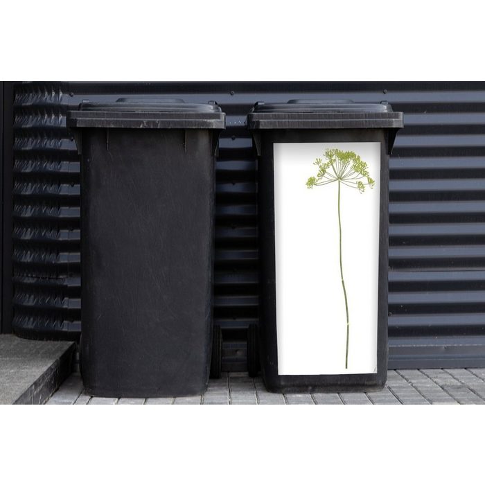 MuchoWow Wandsticker Eine einsame Anispflanze vor weißem Hintergrund (1 St) Mülleimer-aufkleber Mülltonne Sticker Container Abfalbehälter