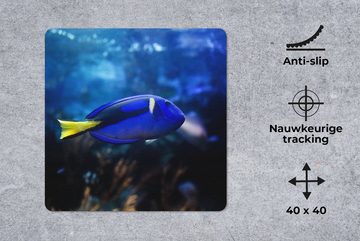 MuchoWow Gaming Mauspad Blauer Fisch im Aquarium (1-St), Mousepad mit Rutschfester Unterseite, Gaming, 40x40 cm, XXL, Großes