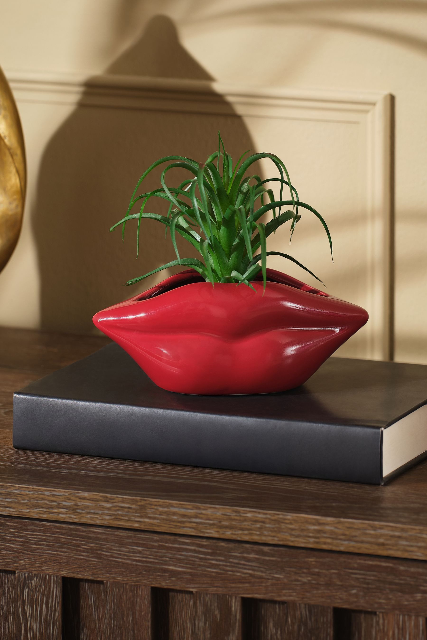 Kunstblume Künstliche Sukkulente in roter Lippenvase, Next günstig online kaufen