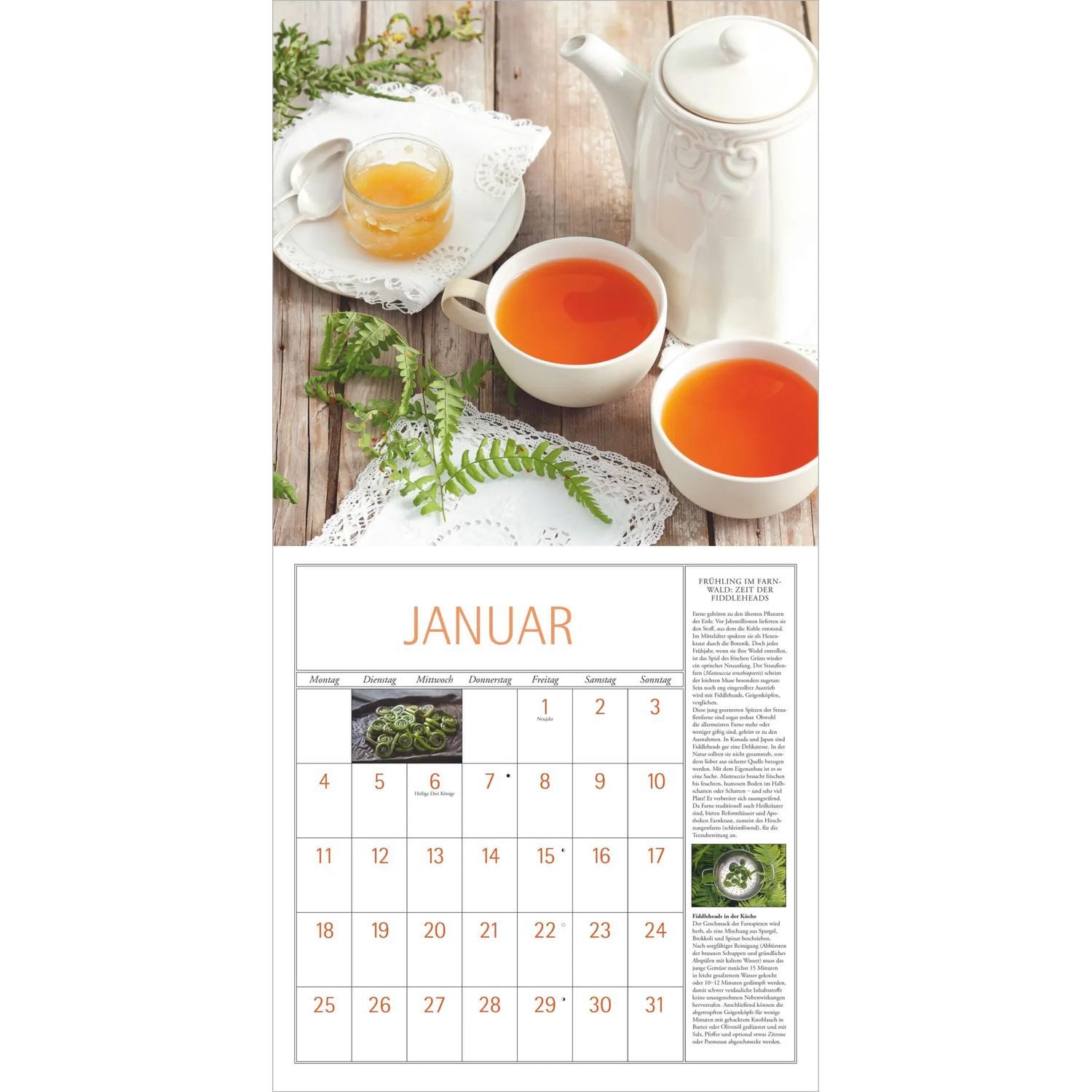NEUMANN Wandkalender DuMonts Kräuter Kalender 2027