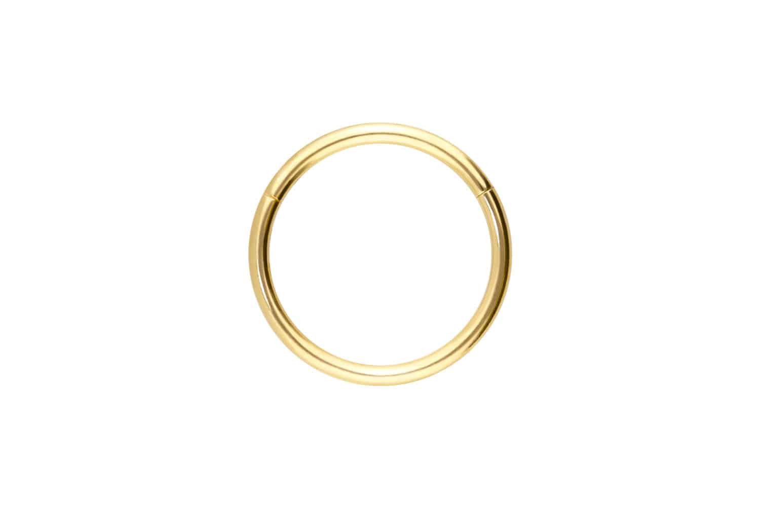 PIERCINGLINE Piercing-Set 14/18 Karat Gold Segmentring günstig online kaufen