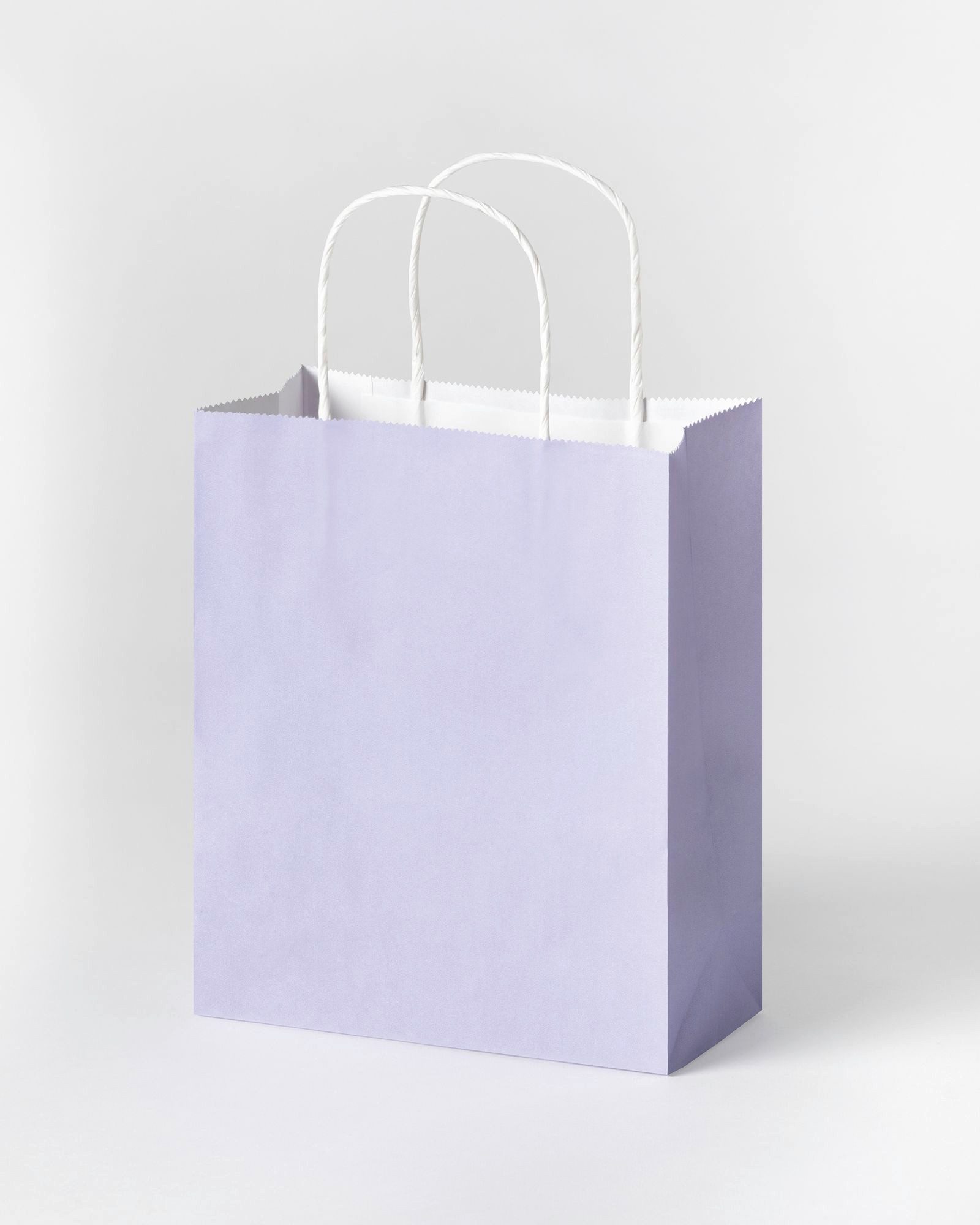 Folia Max Bringmann KG Geschenkbox Paper Bags Papiertüten (10 St., mit Henkel)