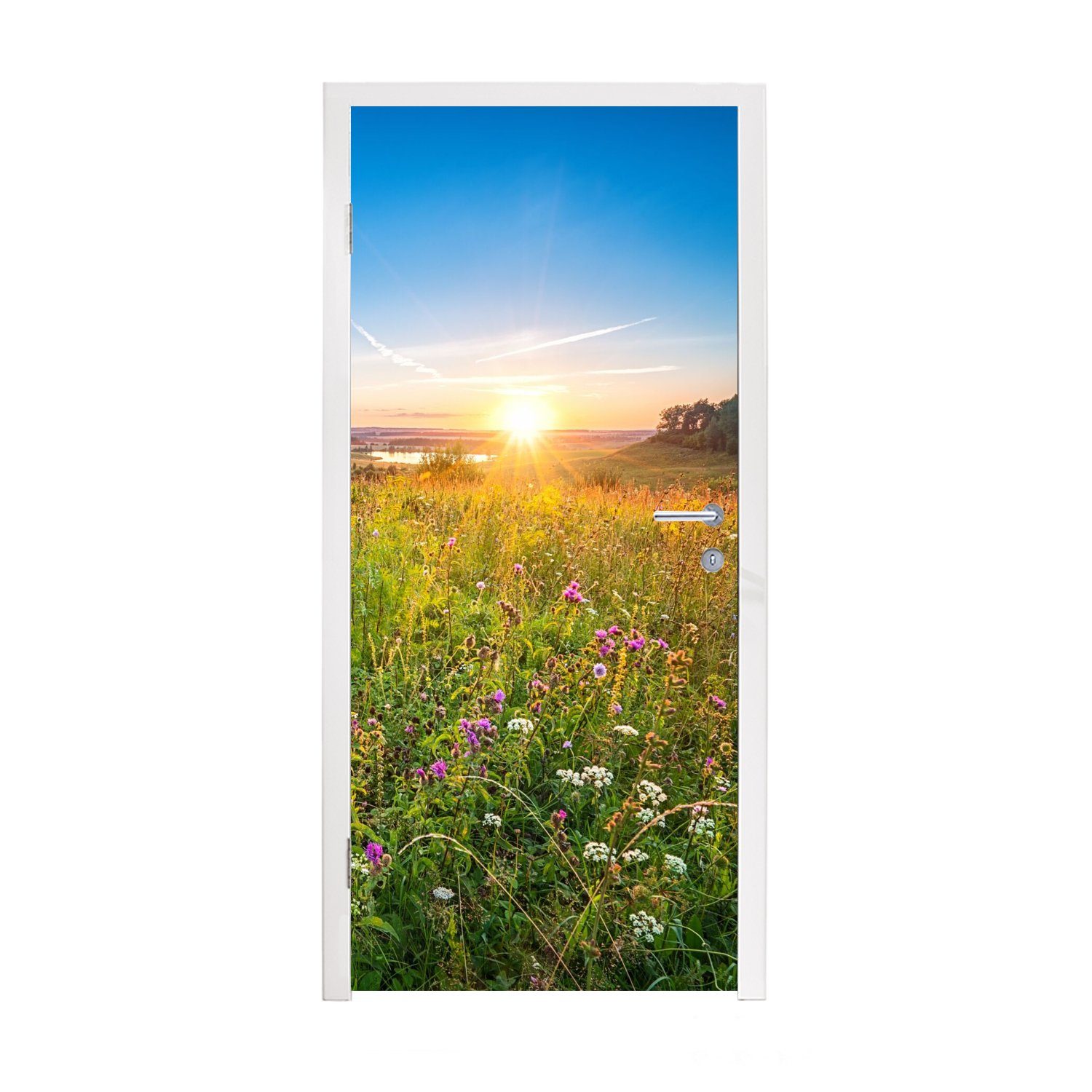 MuchoWow Türtapete Sonne - Gras - Blumen, Matt, bedruckt, (1 St), Fototapete für Tür, Türaufkleber, 75x205 cm