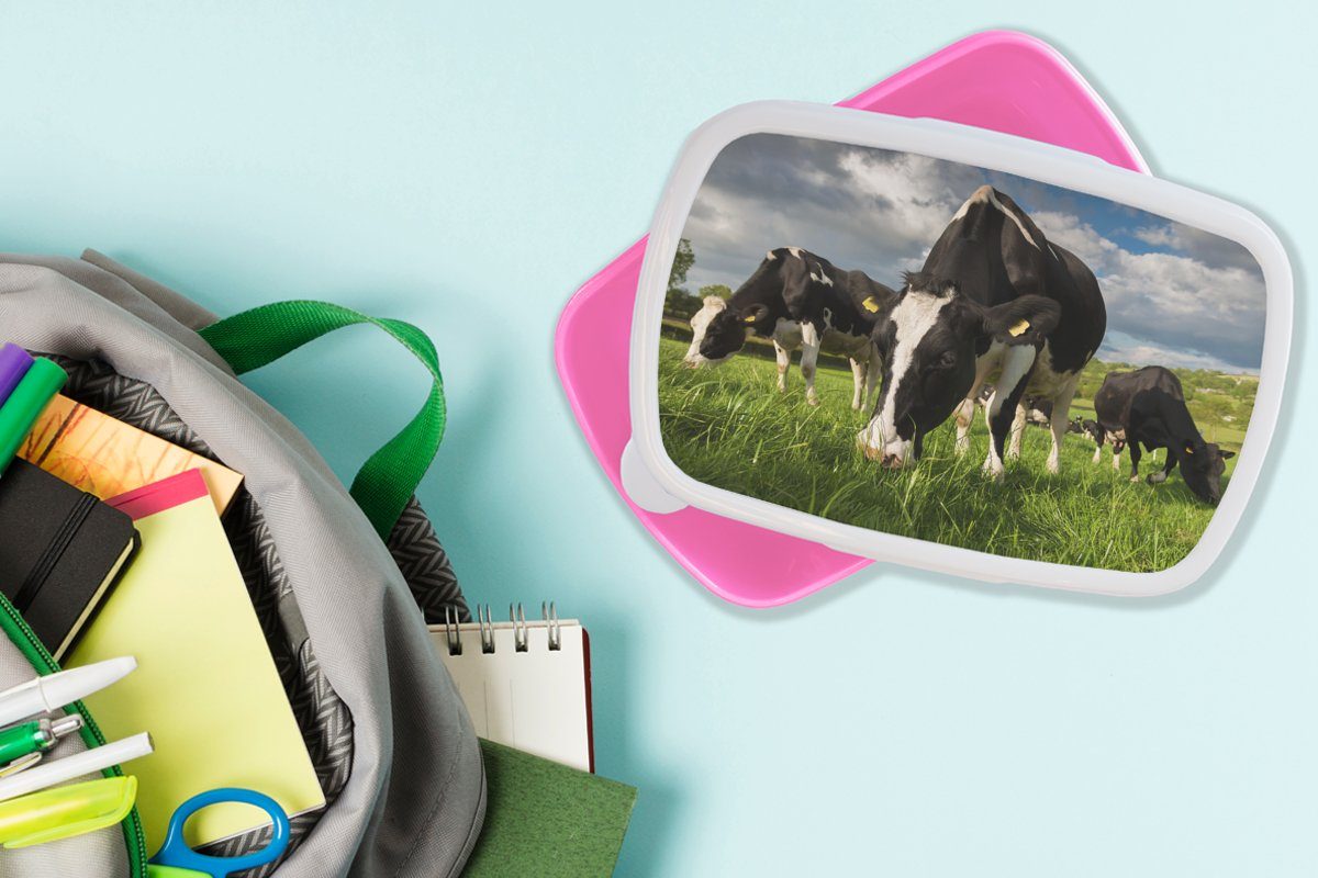 (2-tlg), Brotbox Mädchen, Brotdose Erwachsene, Kunststoff, Bauernhof, für - Tiere MuchoWow - Kühe Gras - Kunststoff - Lunchbox Wiese Snackbox, rosa Kinder,