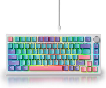 SOLIDEE RGB-Hintergrundbeleuchtung Gaming-Tastatur (mit Leise Produktivität mit Hot-Swap-Schaltern, N-Key Rollover, Lösung)