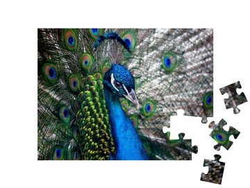 puzzleYOU Puzzle Schöner Pfauenkopf, 48 Puzzleteile, puzzleYOU-Kollektionen Pfauen, Tiere in Dschungel & Regenwald