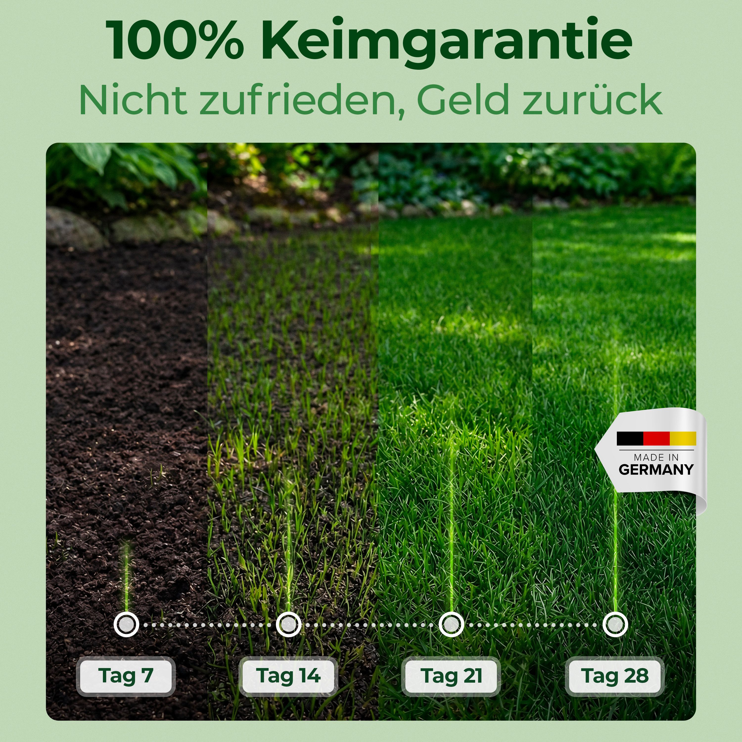 Natureflow Rasensamen für schattige Flächen, schnellkeimend, TEST SEHR GUT, 100% Keimgaranti, 20 kg – Bild 3 von 5