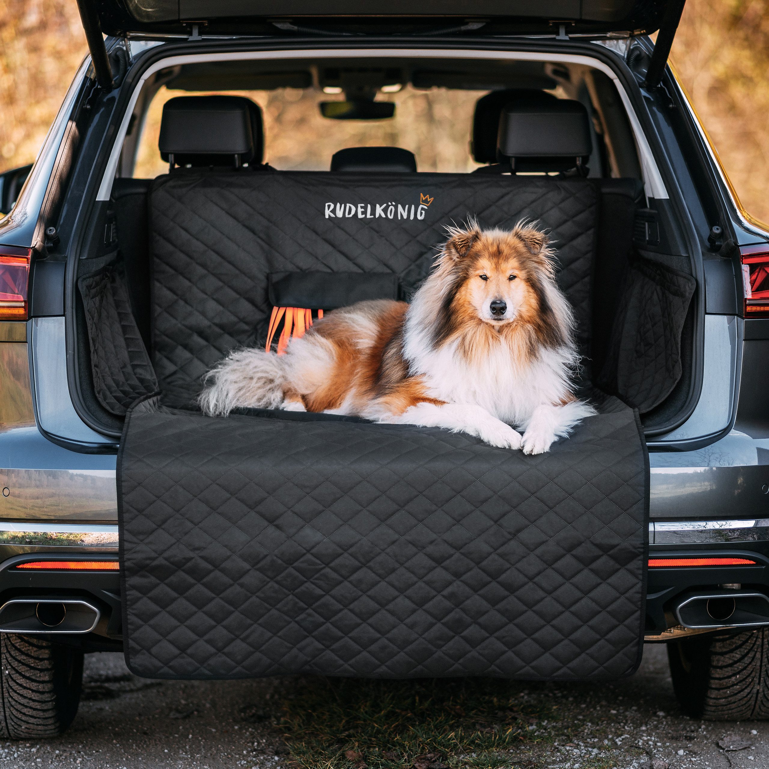 Rudelkönig Tier-Kofferraumschutzdecke Kofferraumschutz Hund mit Ladenkantenschutz Universal Hundedecke Auto, Schondecke wasserabweisend und kratzfest - 134x101x58cm