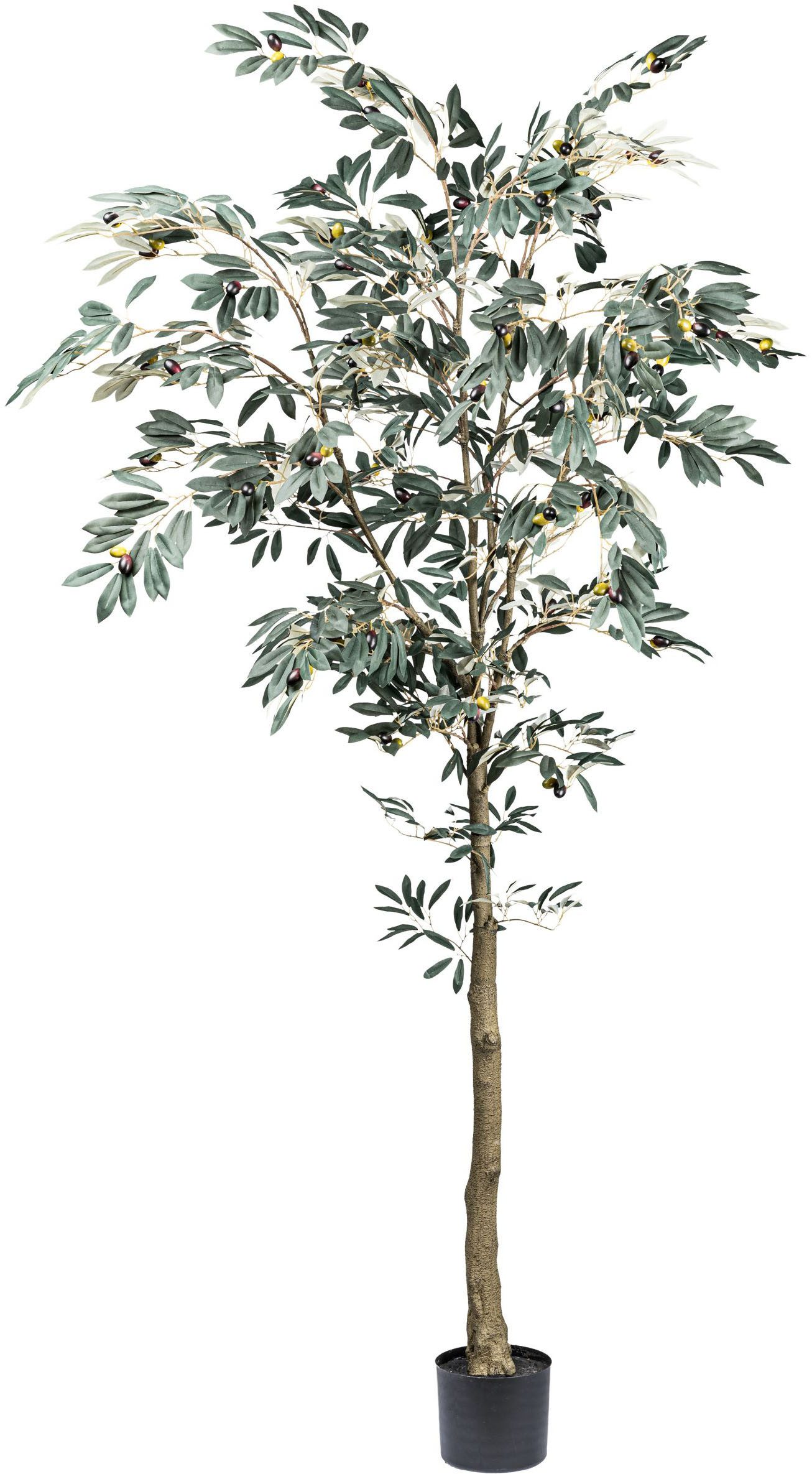 Kunstbaum Olive, Creativ green, Höhe 210 günstig online kaufen