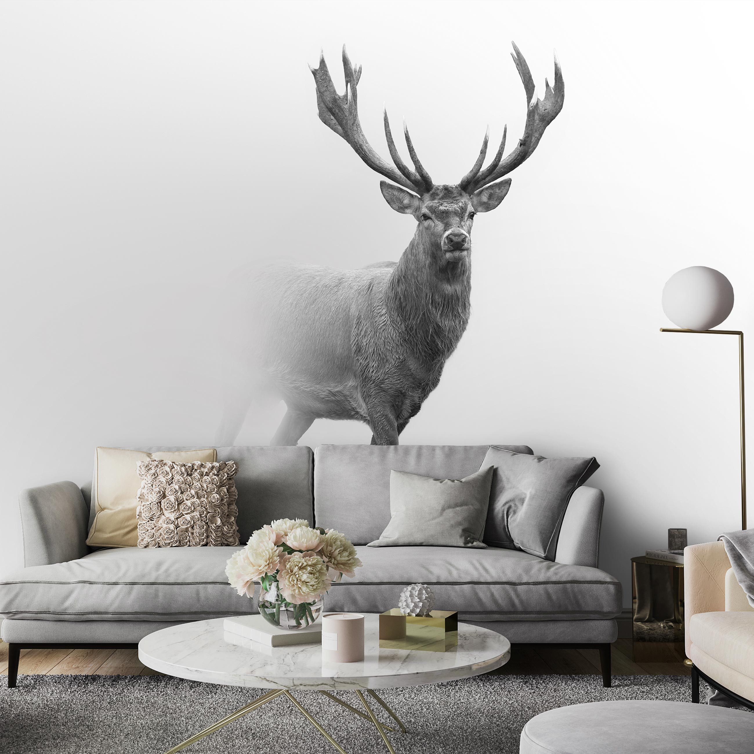 Wallarena Fototapete Hirsche Tier Schwarz-weiß Wohnzimmer Schlafzimmer Vlie günstig online kaufen