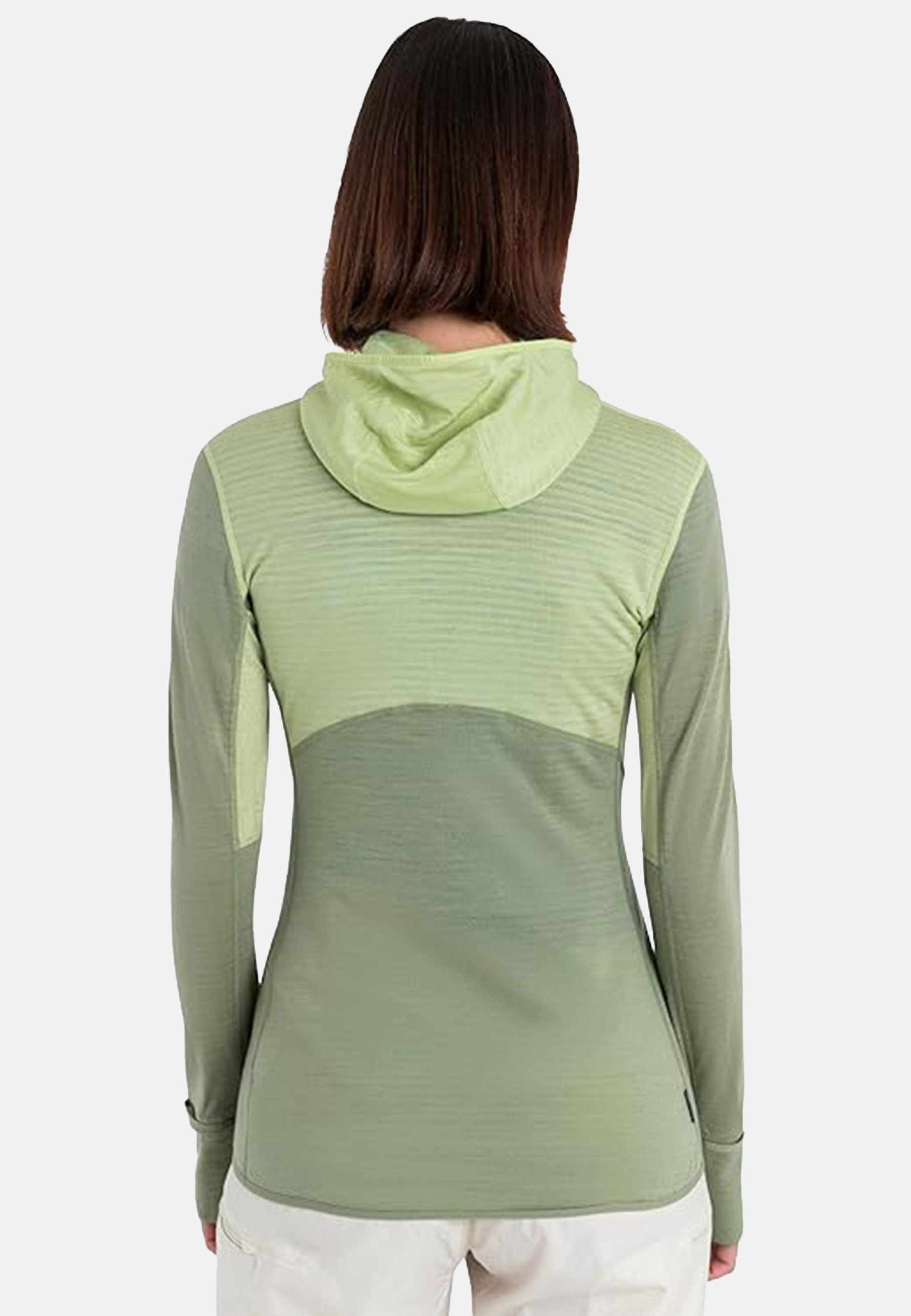 Icebreaker Trainingsjacke 200 Realfleece