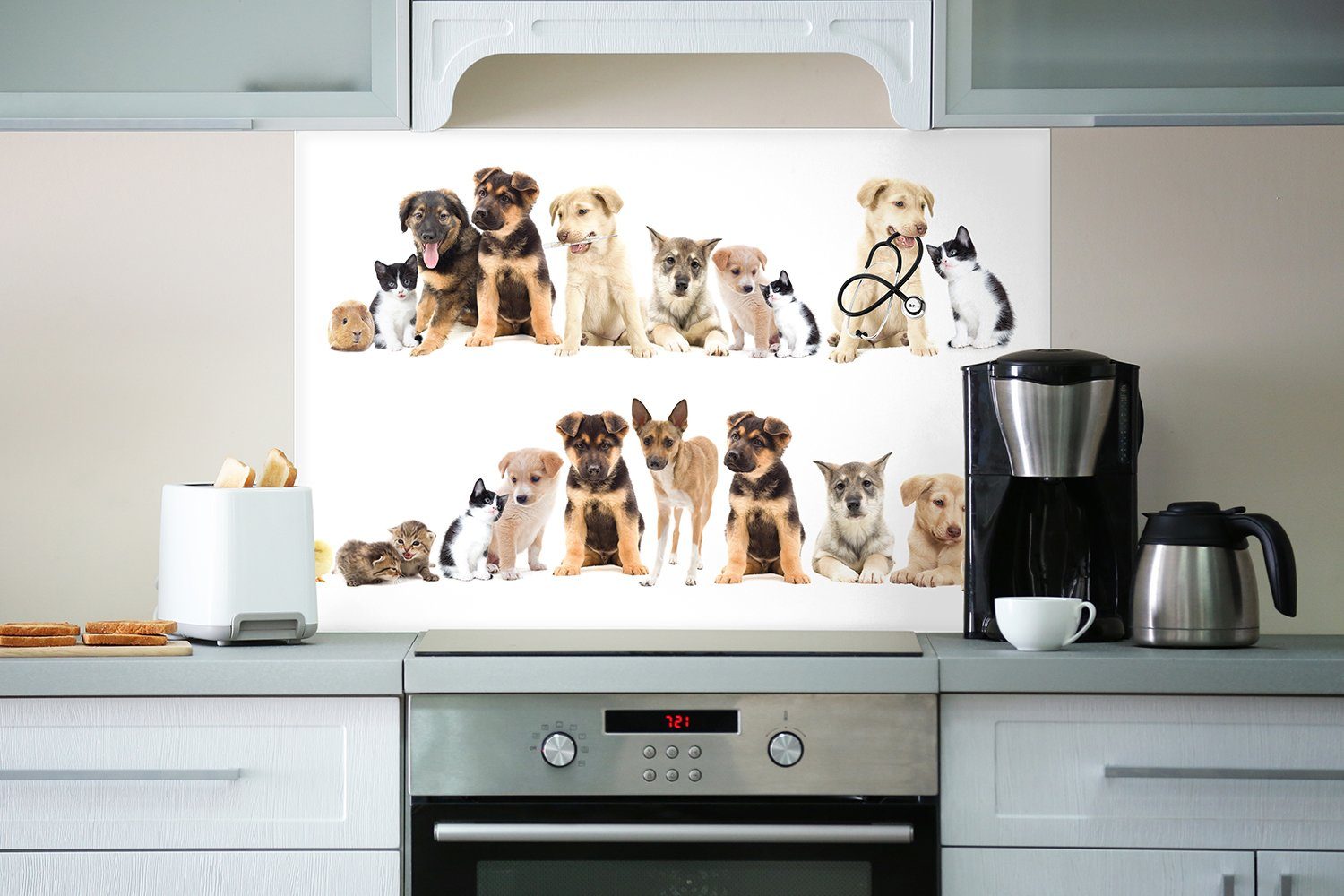 Hamster Hunde (1-tlg) Katzen Haustiere Küchenrückwand Süße - Wallario Küken,