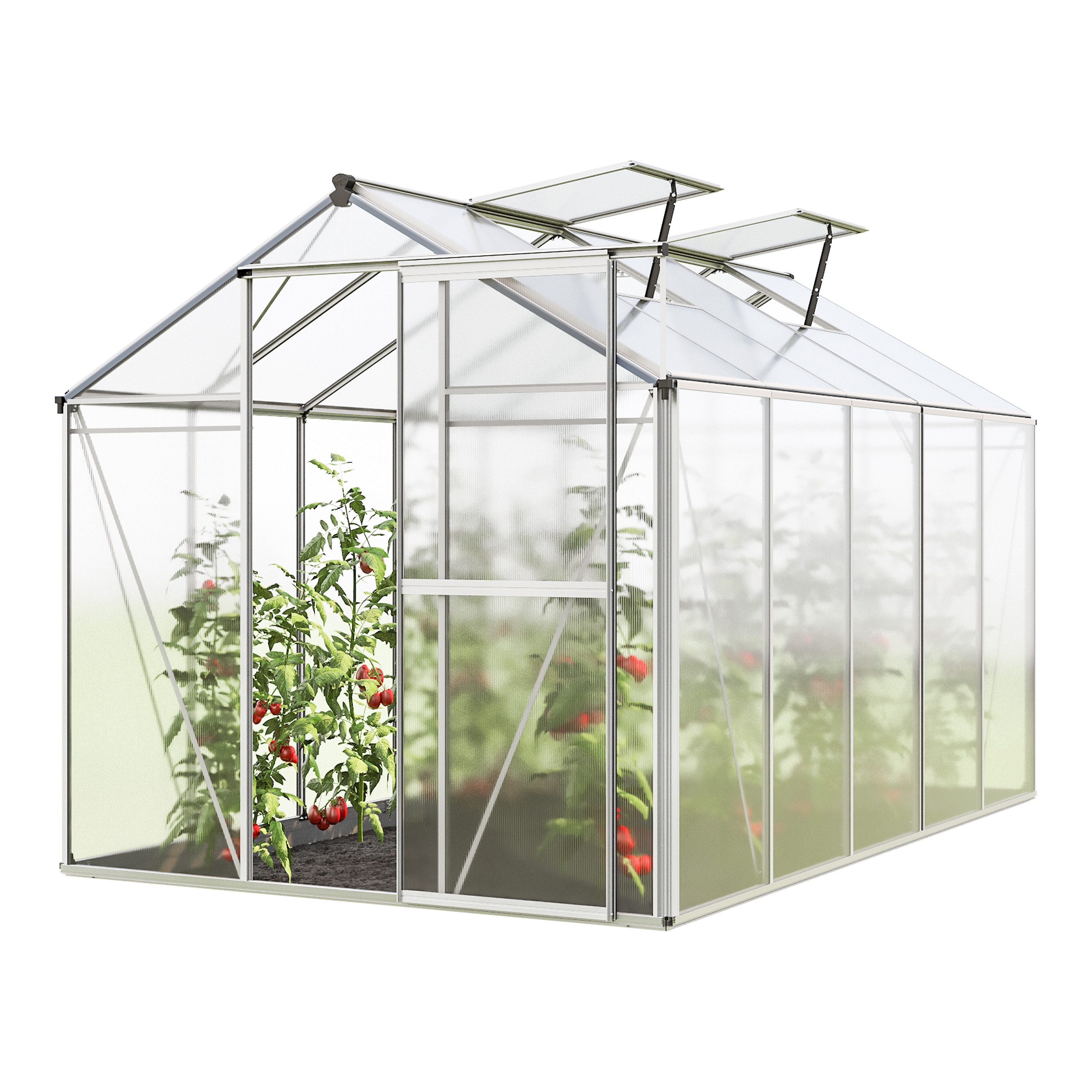 GFP Gewächshaus Jasmin 5