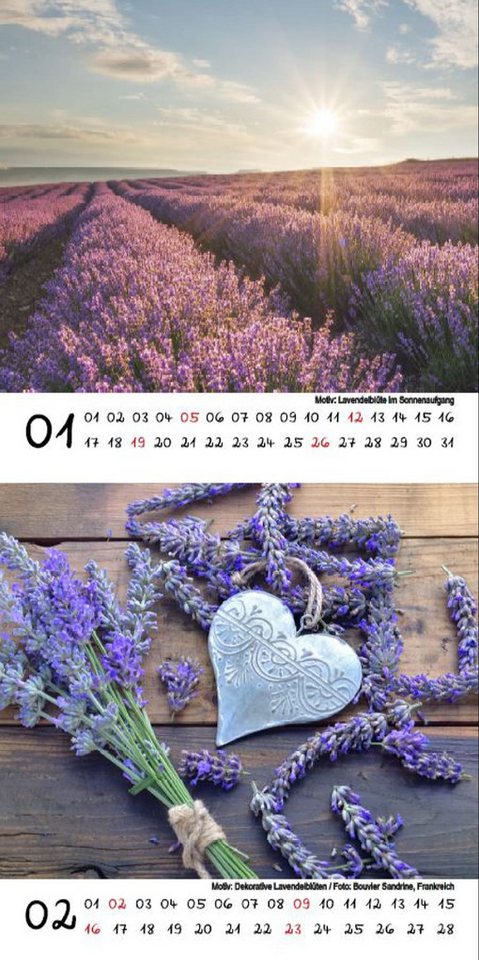 Thumbnail - Seelenzauber Tischkalender Lavendelzauber Kalender für 2025 Format 10cm x 10cm Lavendel