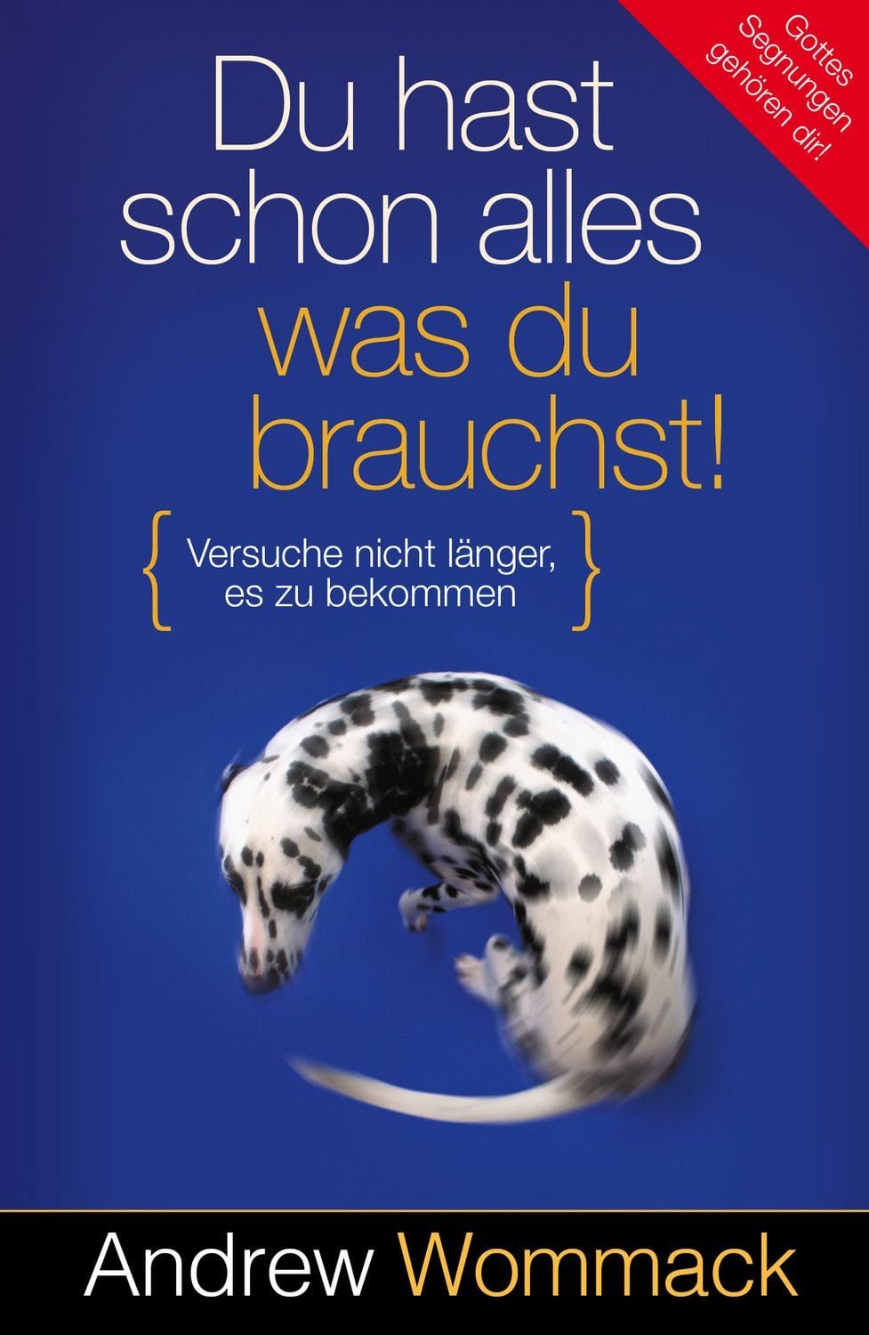 Du hast schon alles, was du brauchst! / Andrew Wommack