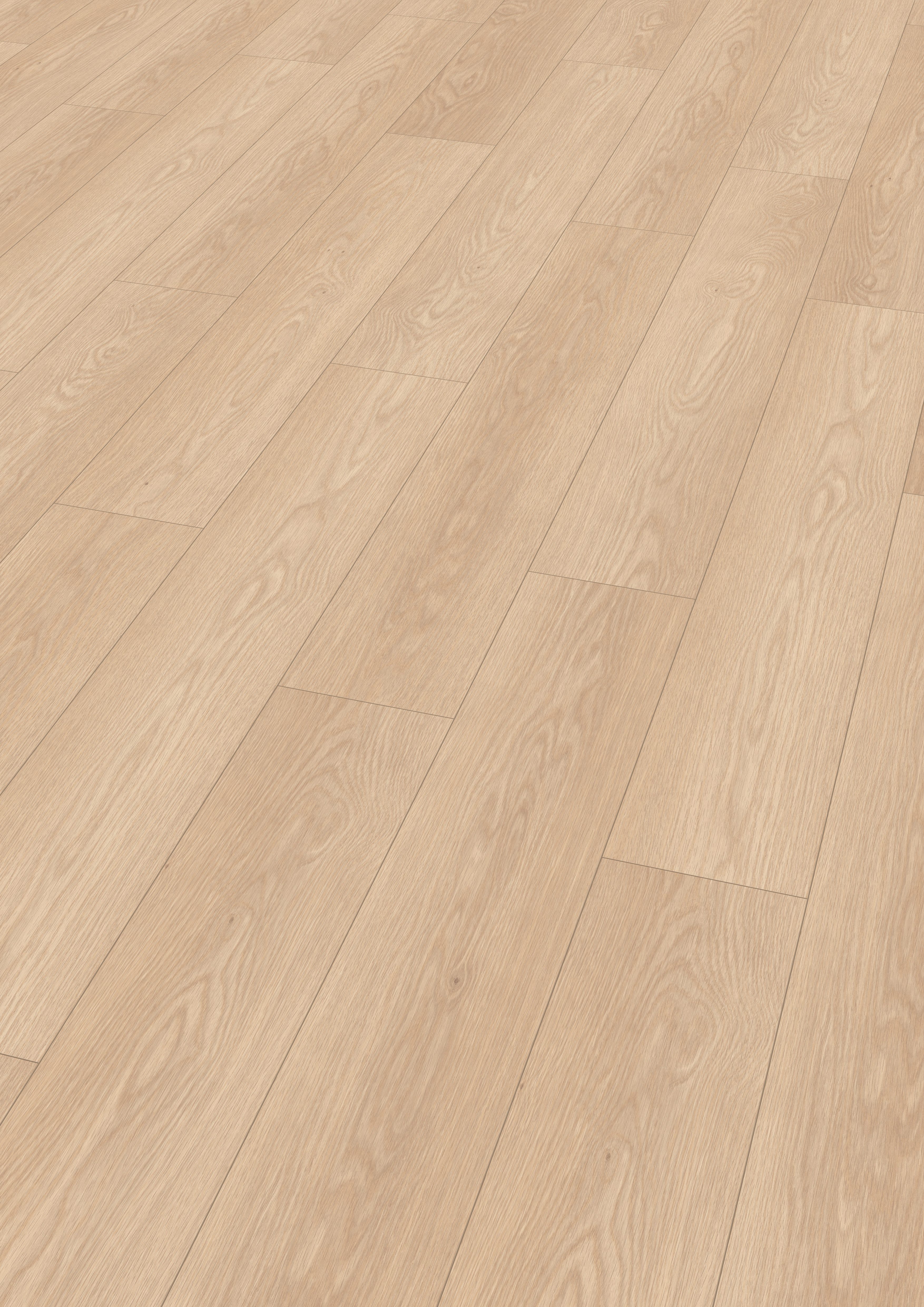 EGGER Laminat Promo H2133 Baronia Eiche sand, (8mm, 1,995m), Praktisch & Pflegeleicht
