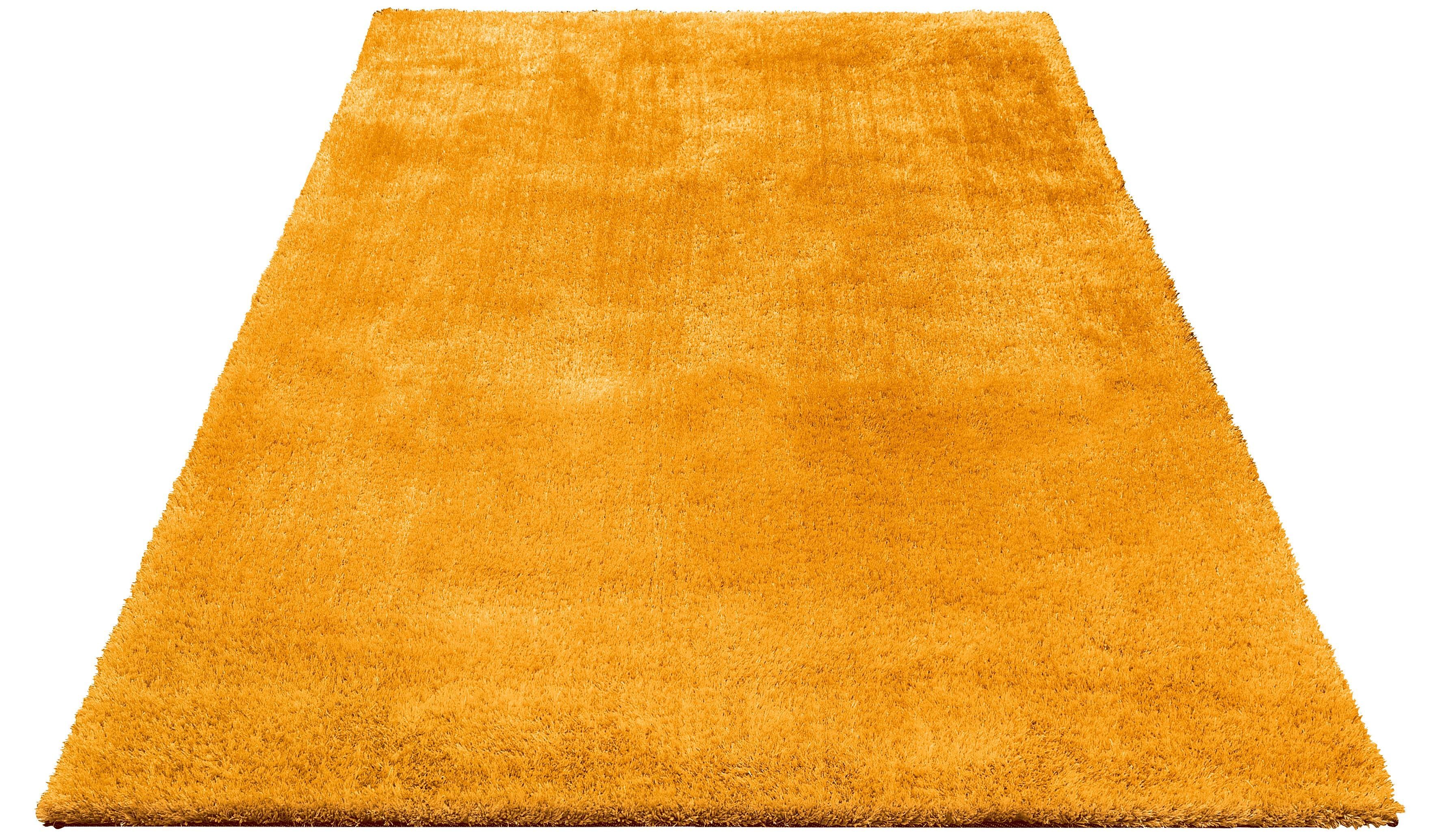Hochflor-Teppich »Dana«, , rechteckig, Höhe 30 mm, Besonders weich durch Microfaser Hochflor-Teppich »Dana«, , rechteckig, Höhe 30 mm, Besonders weich durch Microfaser
