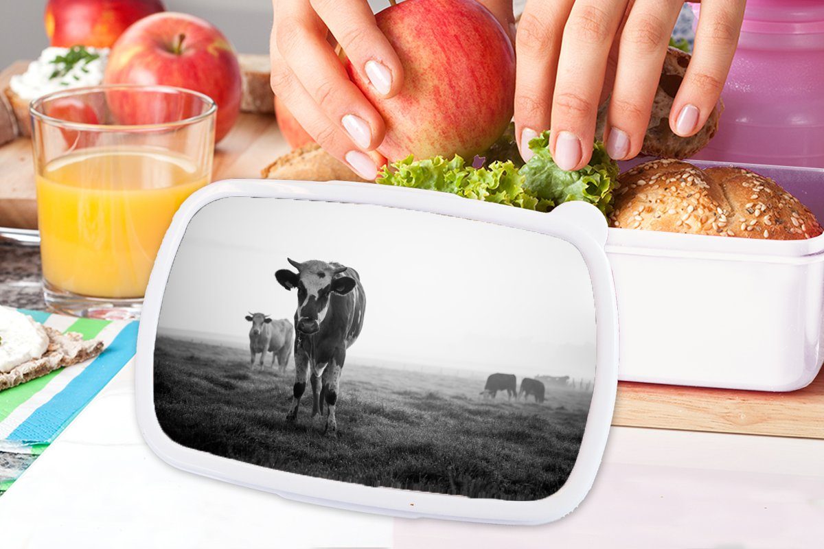 im Kunststoff, Erwachsene, und Brotdose, für Jungs Brotbox schwarz-weiß Foto, (2-tlg), Morgennebel Lunchbox Kinder Kühe für und MuchoWow Mädchen