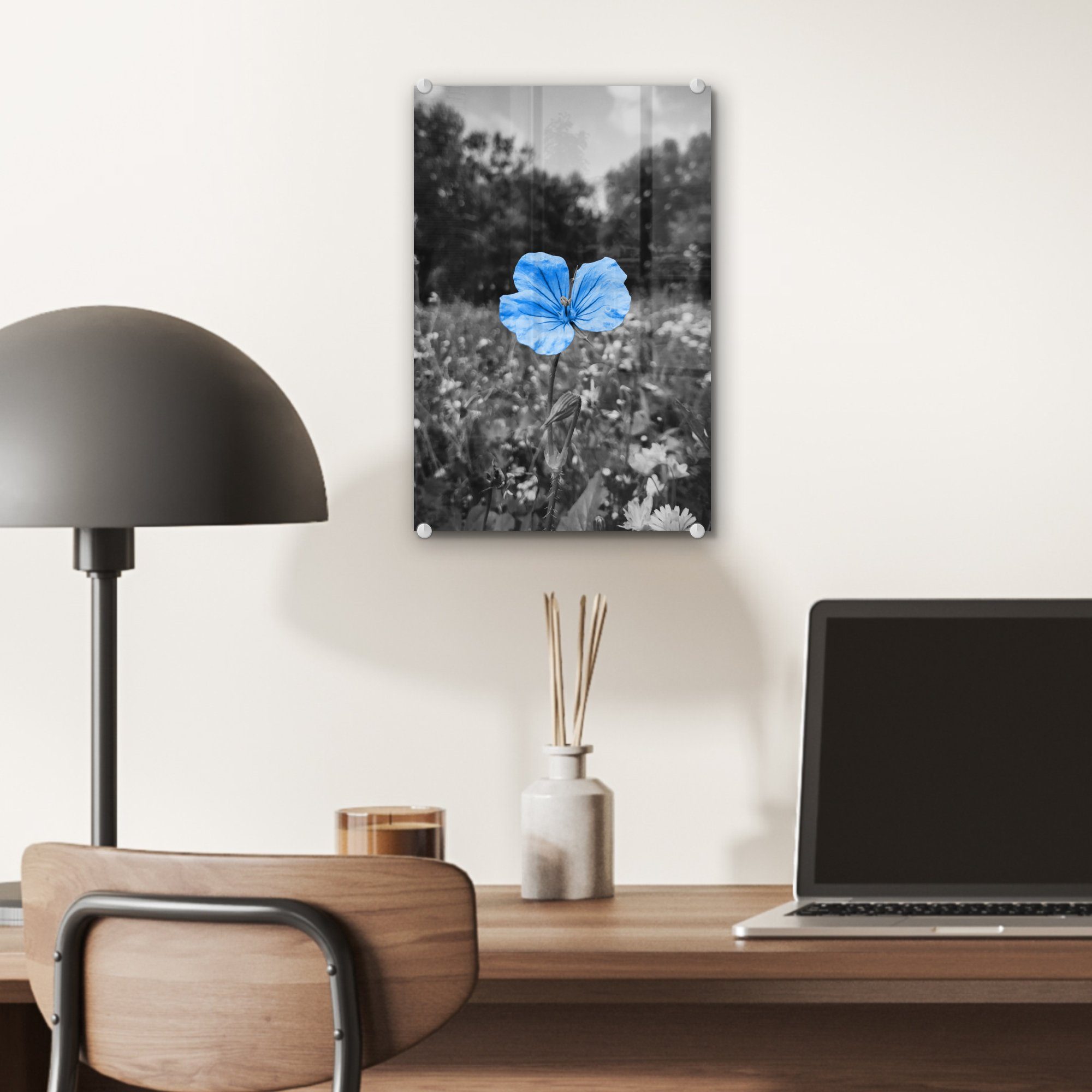 Blau, auf St), Wandbild - - Glasbilder - auf Acrylglasbild - Foto Wanddekoration (1 Bilder Schwarz Glas Blumen Weiß - - MuchoWow bunt Glas