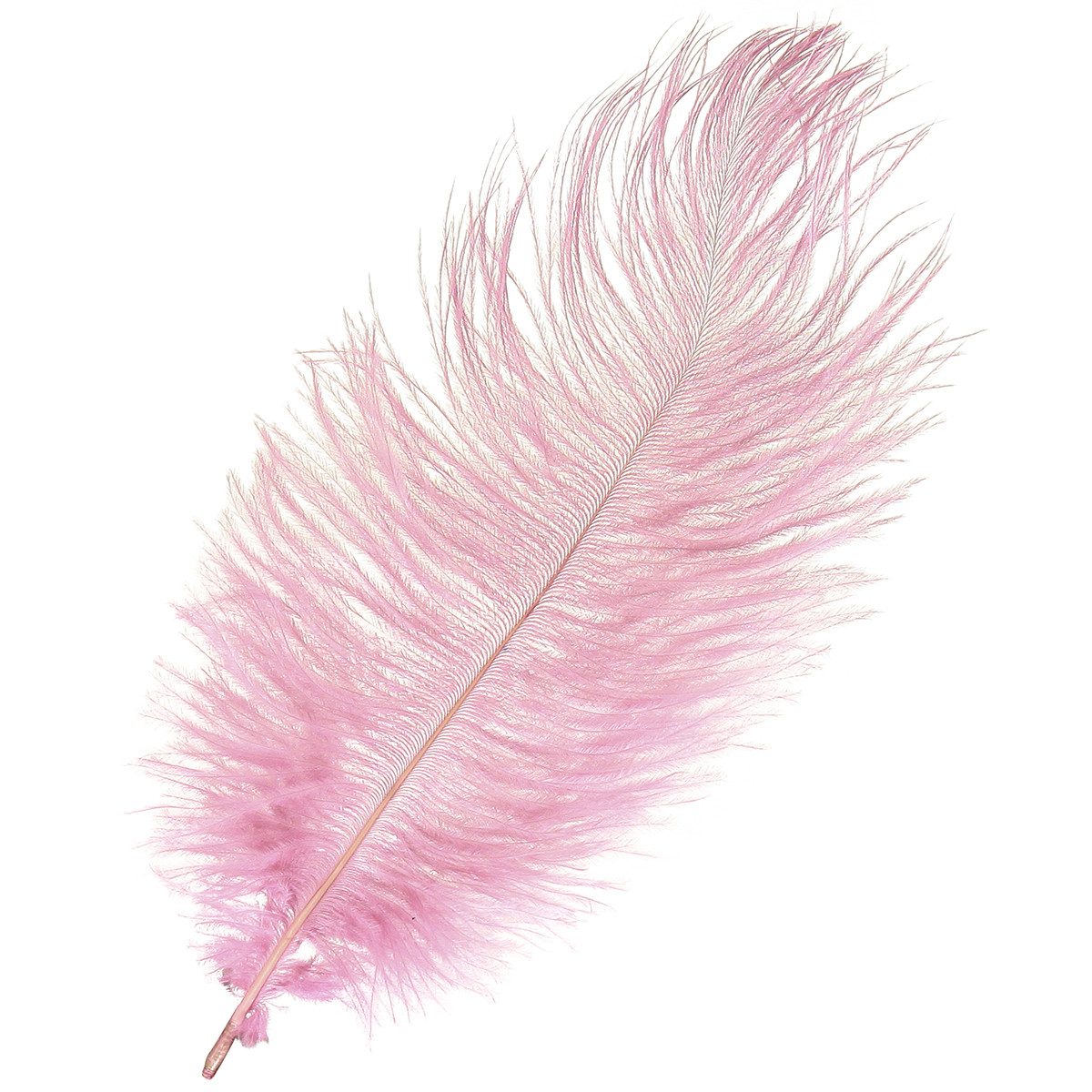 Viana Osterfigur Straußenfedern Rosa Deko 20-25cm 12 Stück Echte Federn