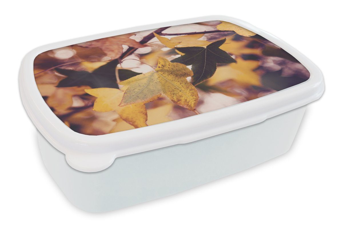 MuchoWow Lunchbox Blätter Mädchen (2-tlg), Kinder und - für Jungs - Herbst - Brotdose, Erwachsene, Brotbox Kunststoff, und für weiß Jahreszeiten, Ahorn
