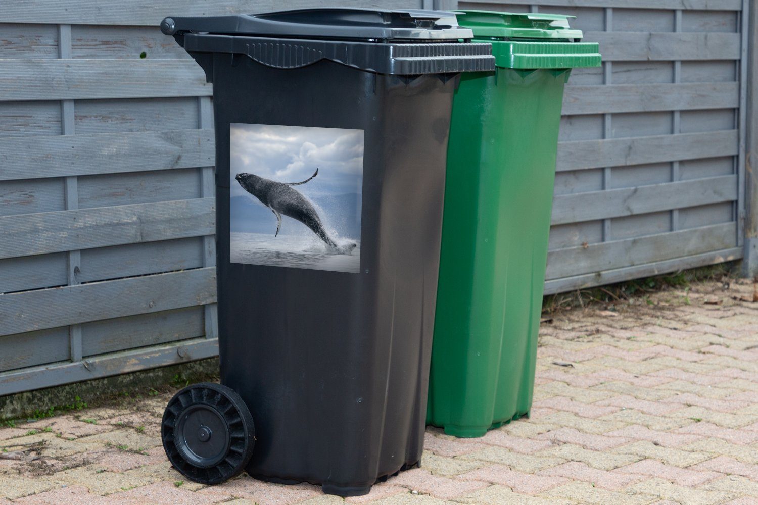 St), Mülltonne, (1 Sticker, Wasser Container, Abfalbehälter der Mülleimer-aufkleber, Wandsticker springt Wal, MuchoWow dem aus
