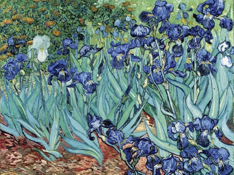 Poster oder Leinwandbild »Vincent van Gogh: Iris (Schwertlilien). 1889« Poster oder Leinwandbild »Vincent van Gogh: Iris (Schwertlilien). 1889«