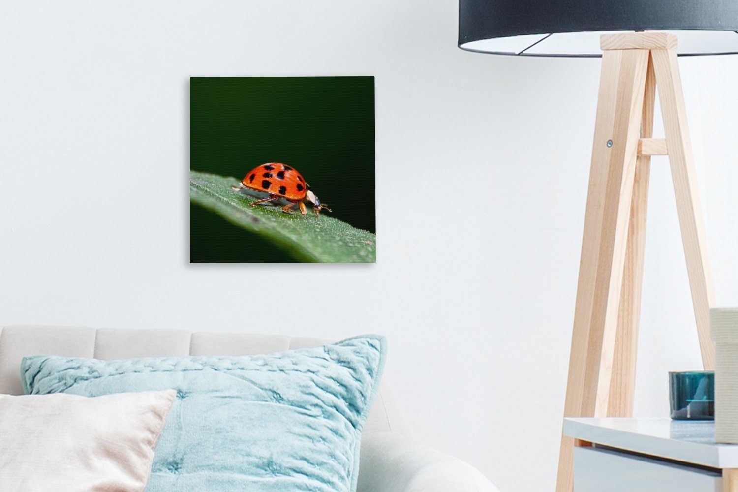 Bilder Marienkäfers, Schlafzimmer OneMillionCanvasses® St), (1 Wohnzimmer Leinwand eines für Makroaufnahme Leinwandbild