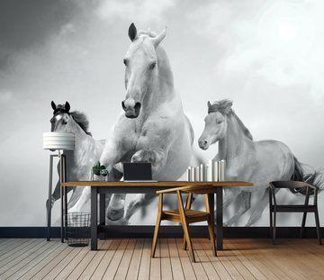 wandmotiv24 Fototapete Pferde laufen in Weiß und Schwarz, glatt, Wandtapete, Motivtapete, matt, Vliestapete
