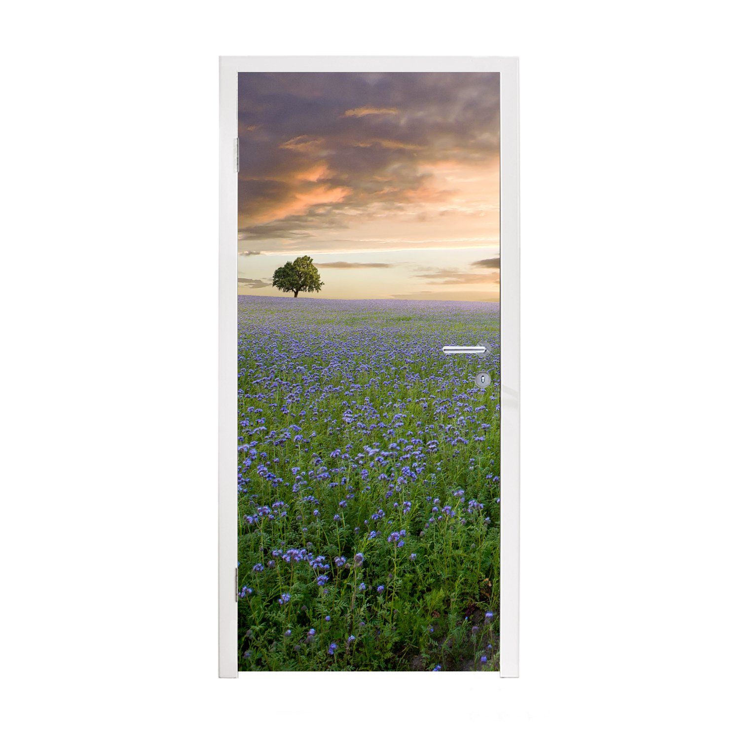 MuchoWow Türtapete Sonnenuntergang - Blumen - Farben, Matt, bedruckt, (1 St), Fototapete für Tür, Türaufkleber, 75x205 cm