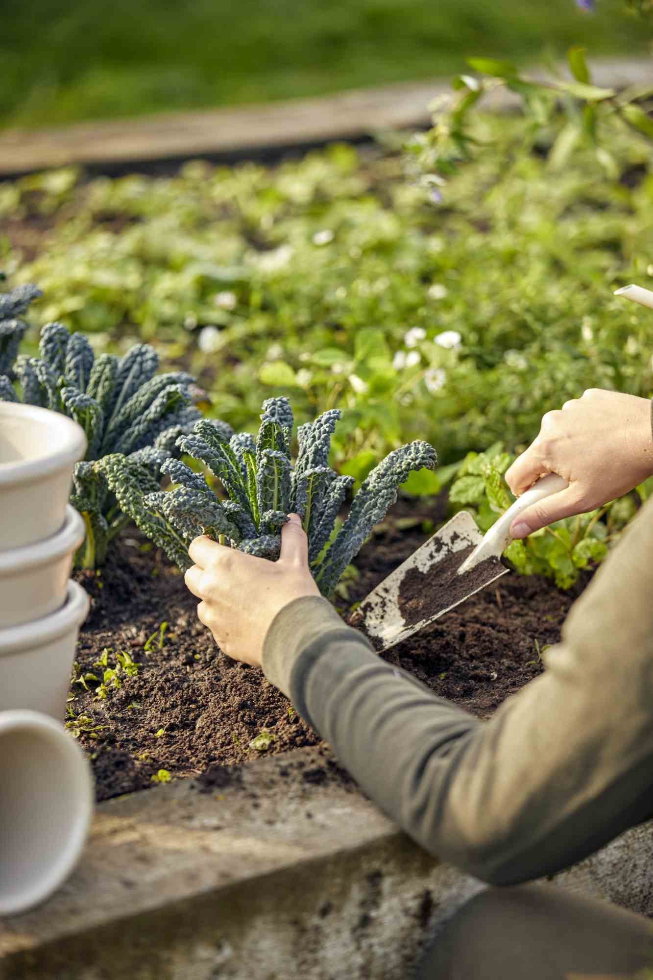Thumbnail - Ib Laursen Gartenpflege-Set IB Laursen Pflanzschaufel Creme 4262-01