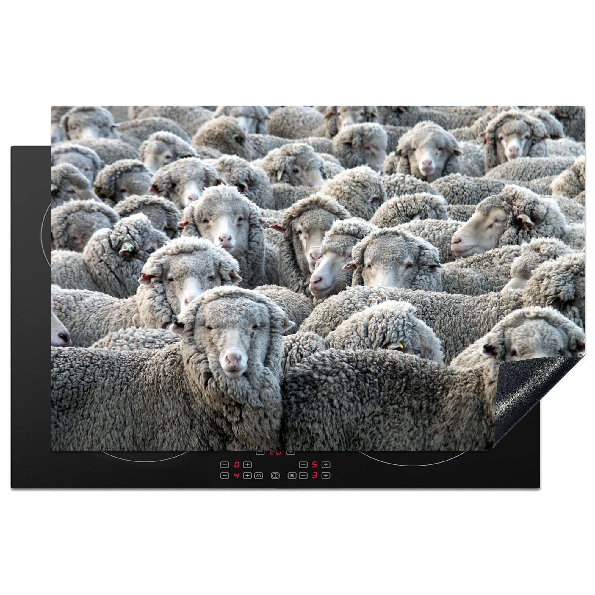 MuchoWow Herdblende-/Abdeckplatte Tiere - Schafe - Schafsfell, Vinyl, (1 tlg), 81x52 cm, Induktionskochfeld Schutz für die küche, Ceranfeldabdeckung