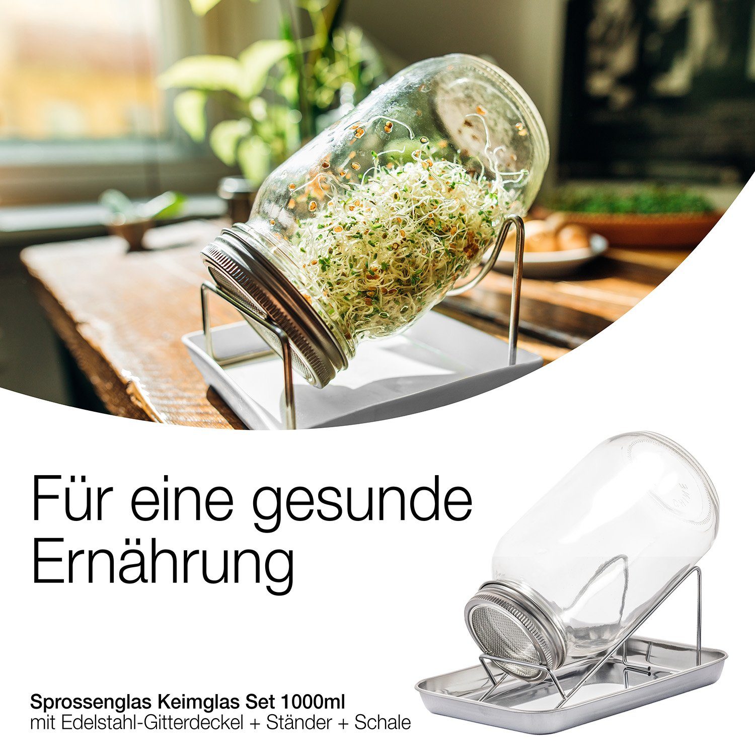 BigDean Anzuchttopf Sprossenglas Keimglas 1000ml mit Edelstahl-Gitterdeckel + Ständer (Set, 1 St., Sprossengläser), Sprossenglas, Leichte Anwendung, Gesunde Ern – Bild 2 von 5