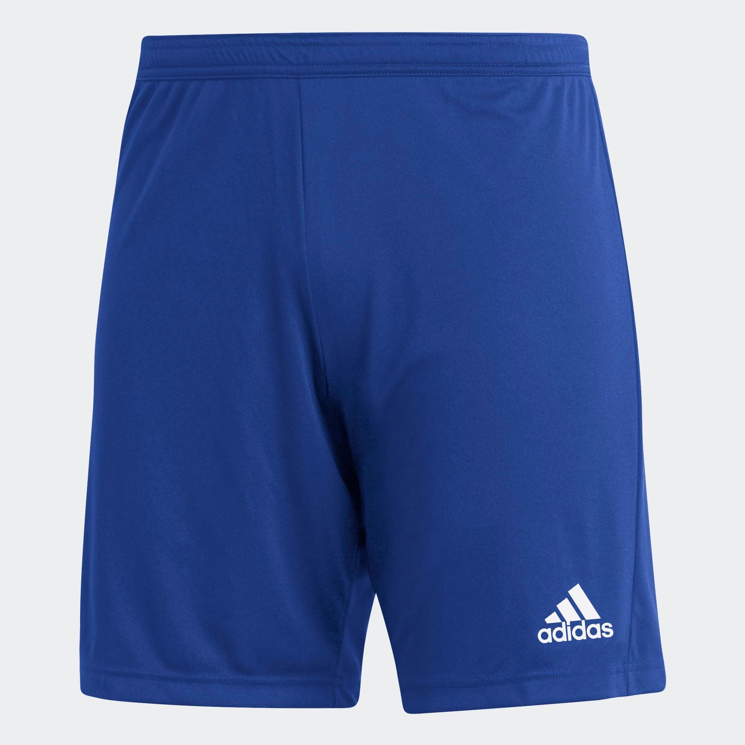 adidas Performance Trainingsshorts ENT22 SHO (1-tlg)